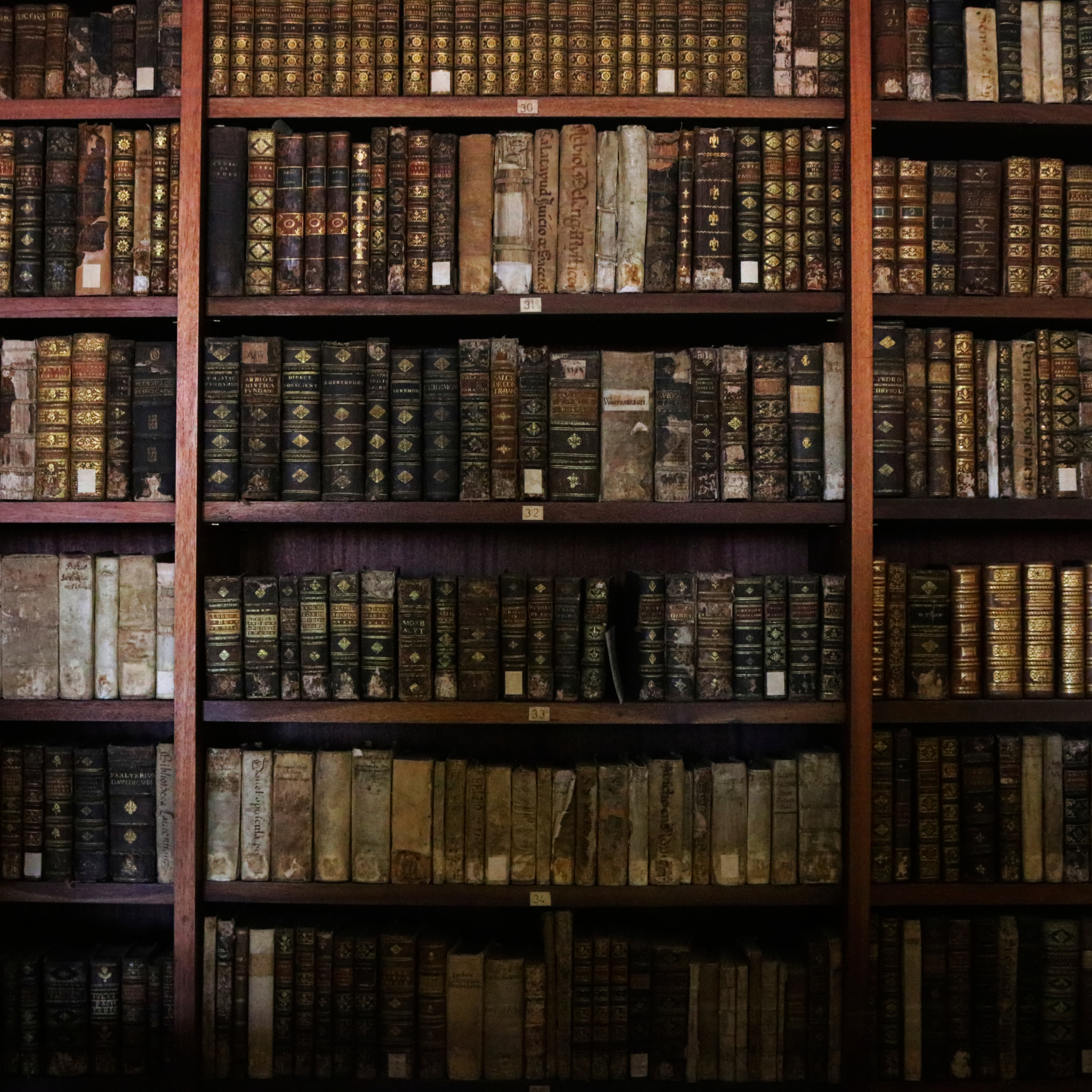Old Books Perfume | Wicked Good Handcrafted Fragrance + Scents