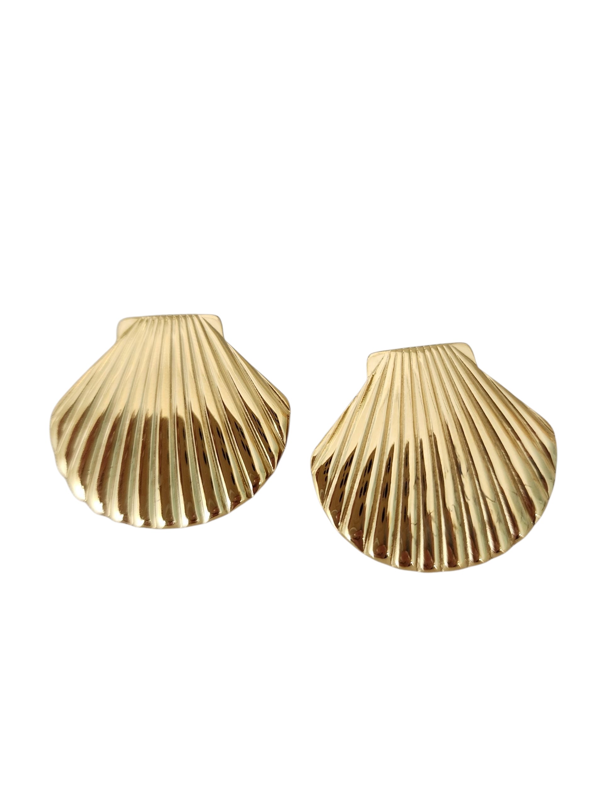 SEA SHELL SHINE
