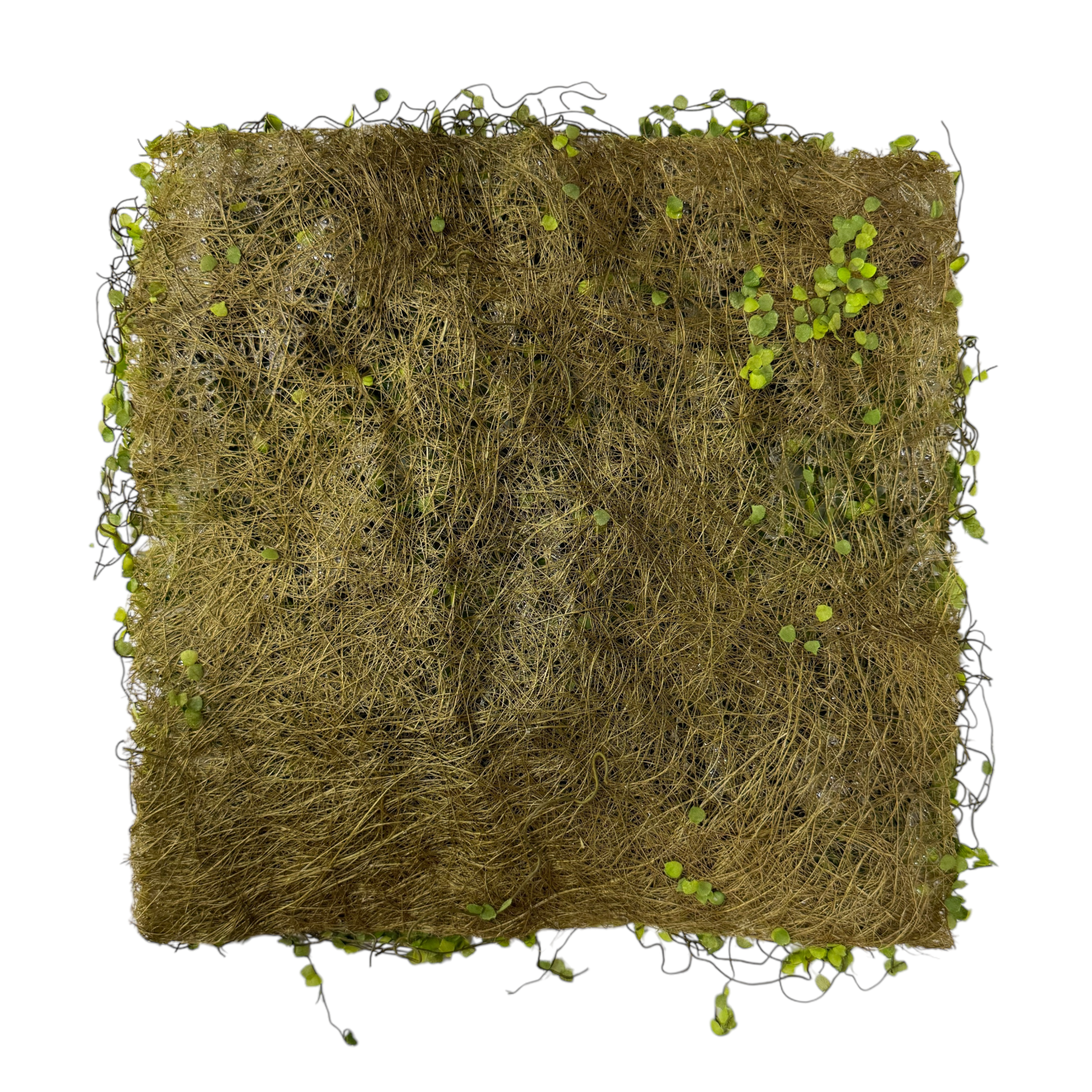 Green Moss Mat | 12'' Square