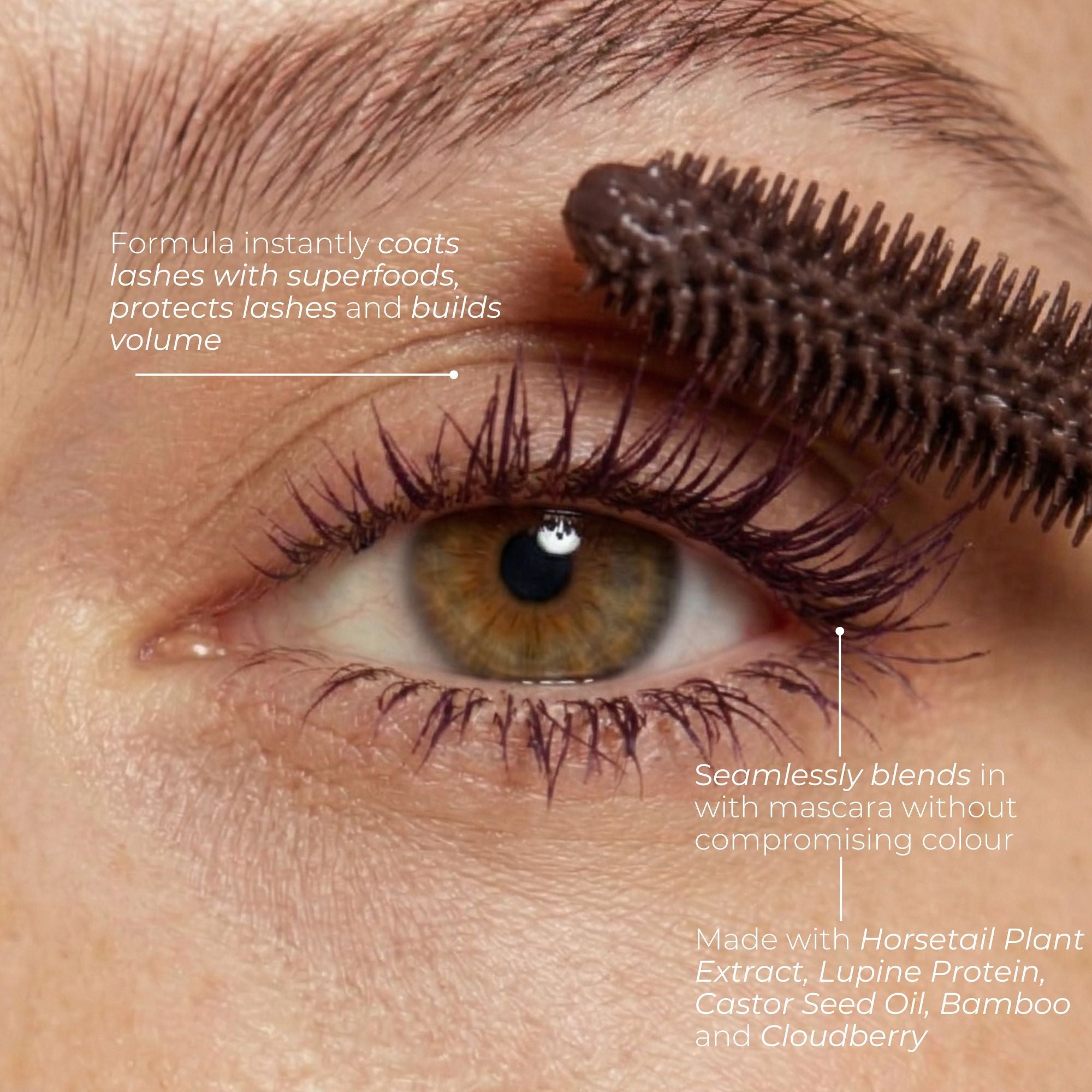 Plum Lash Primer