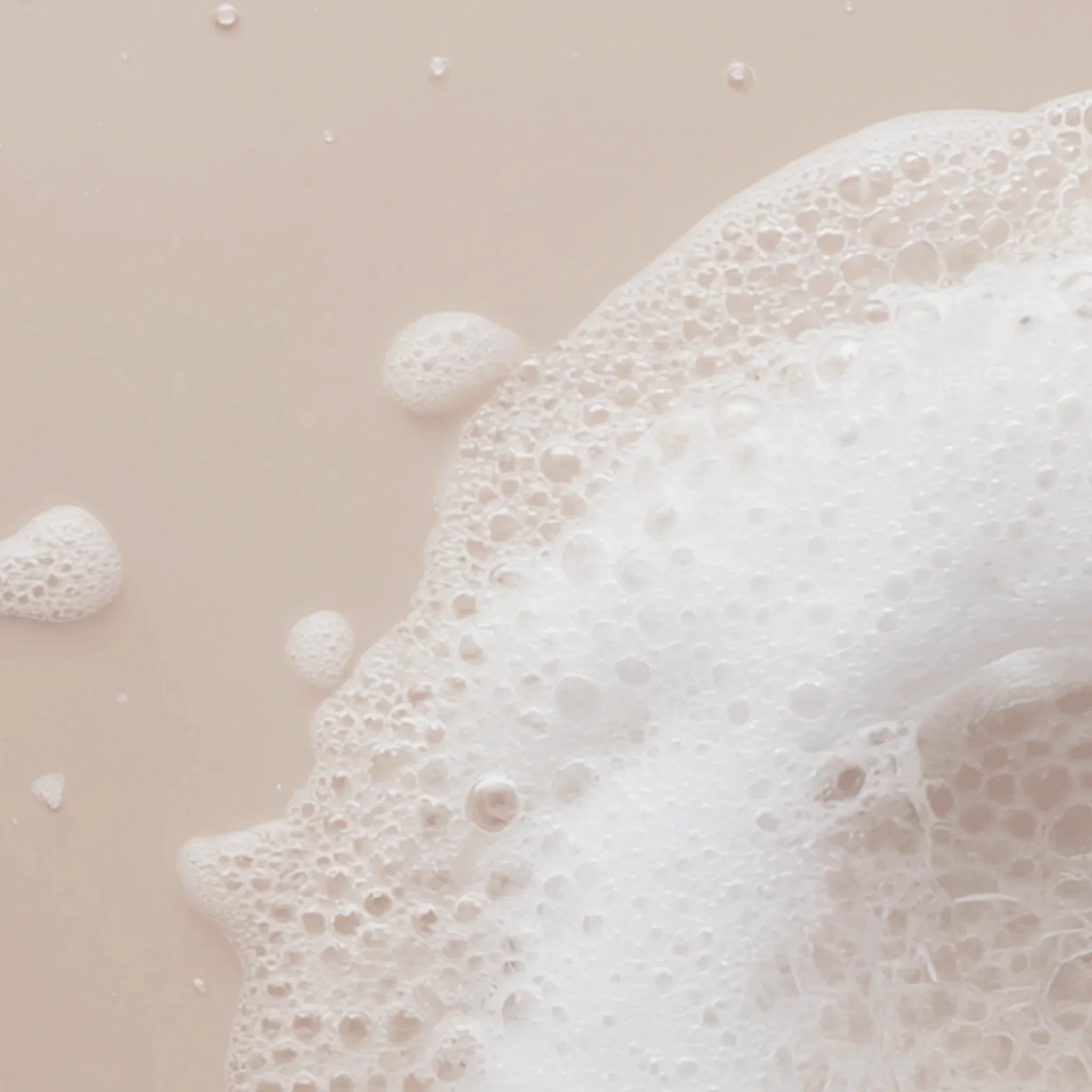 Biotin & Botanicals Shampoo