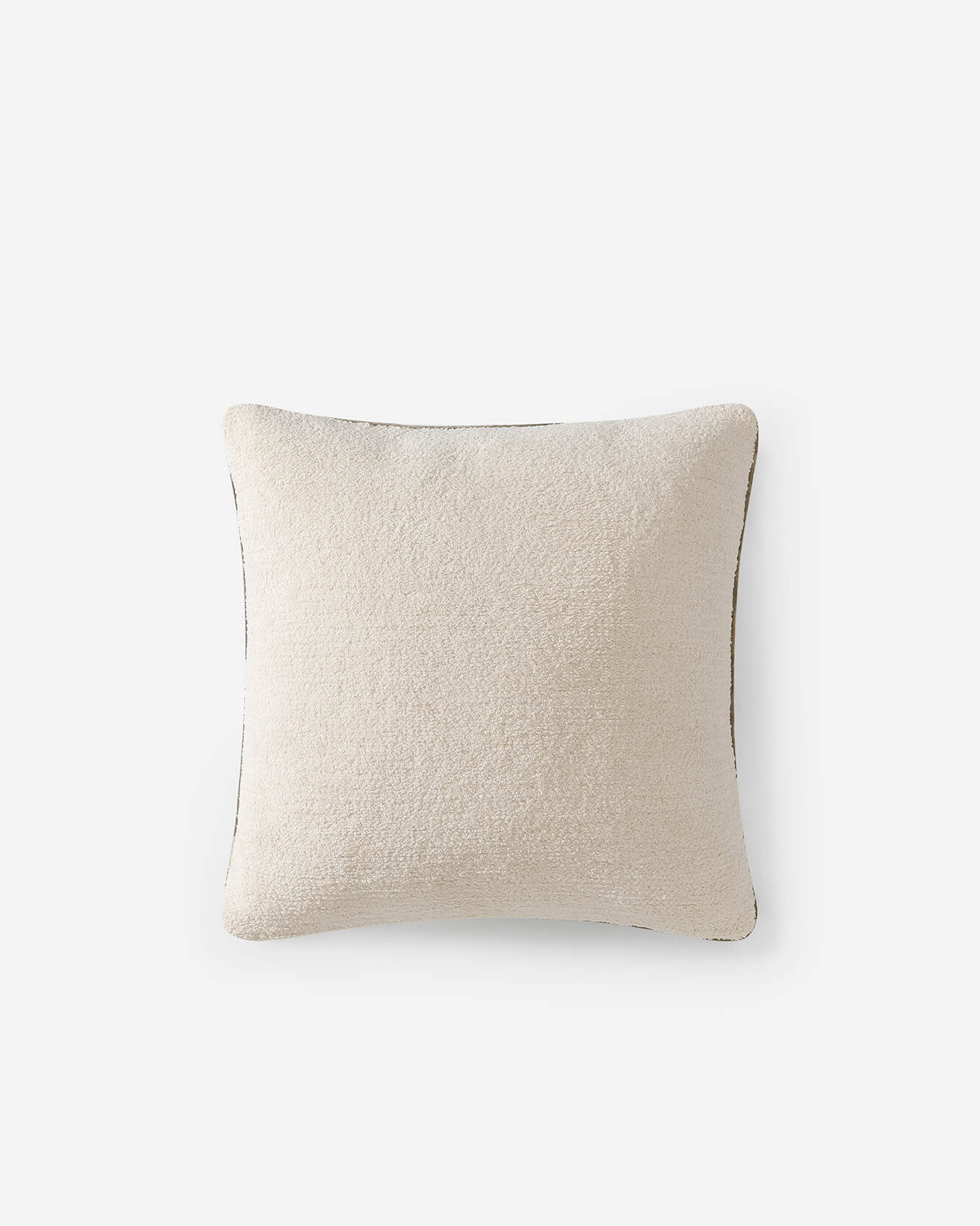Zebra Throw Pillow