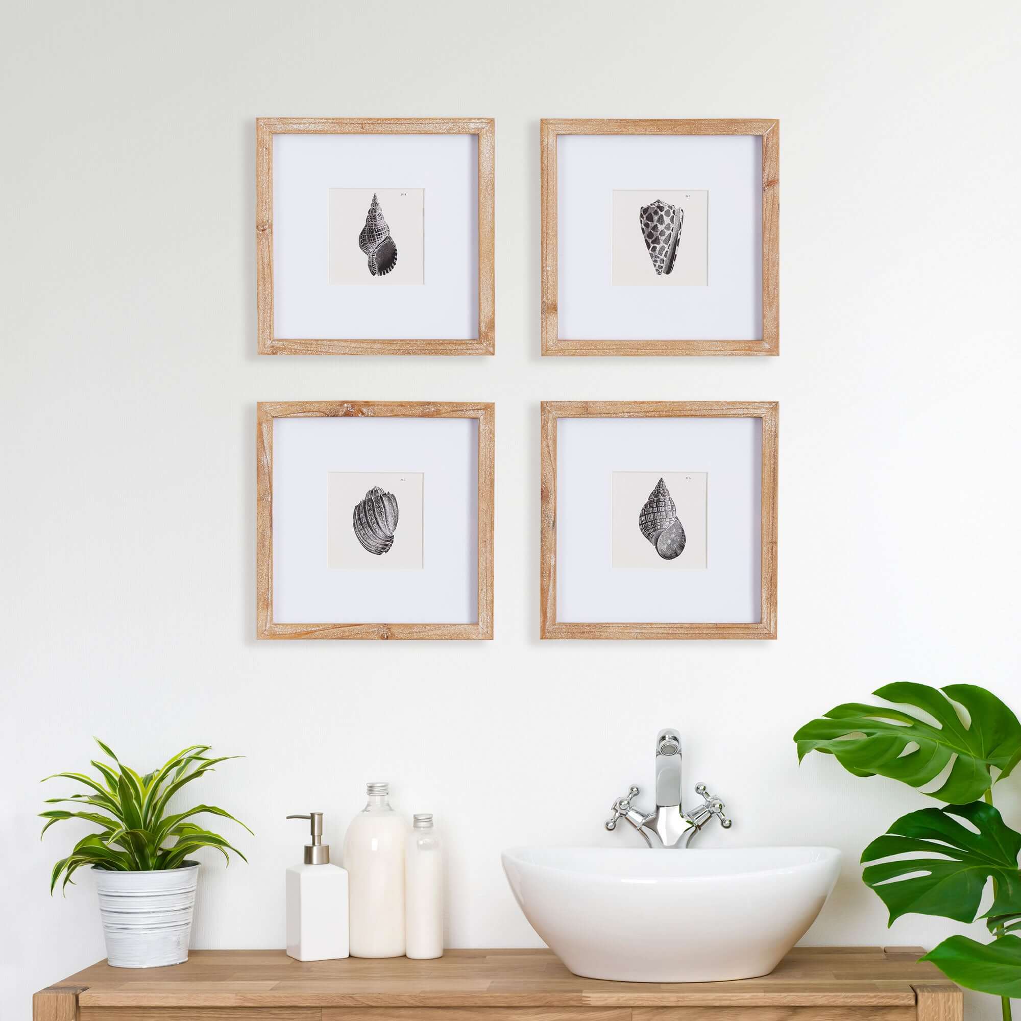 Vintage Coastal Seashell Wall Art Set (Set of 4)