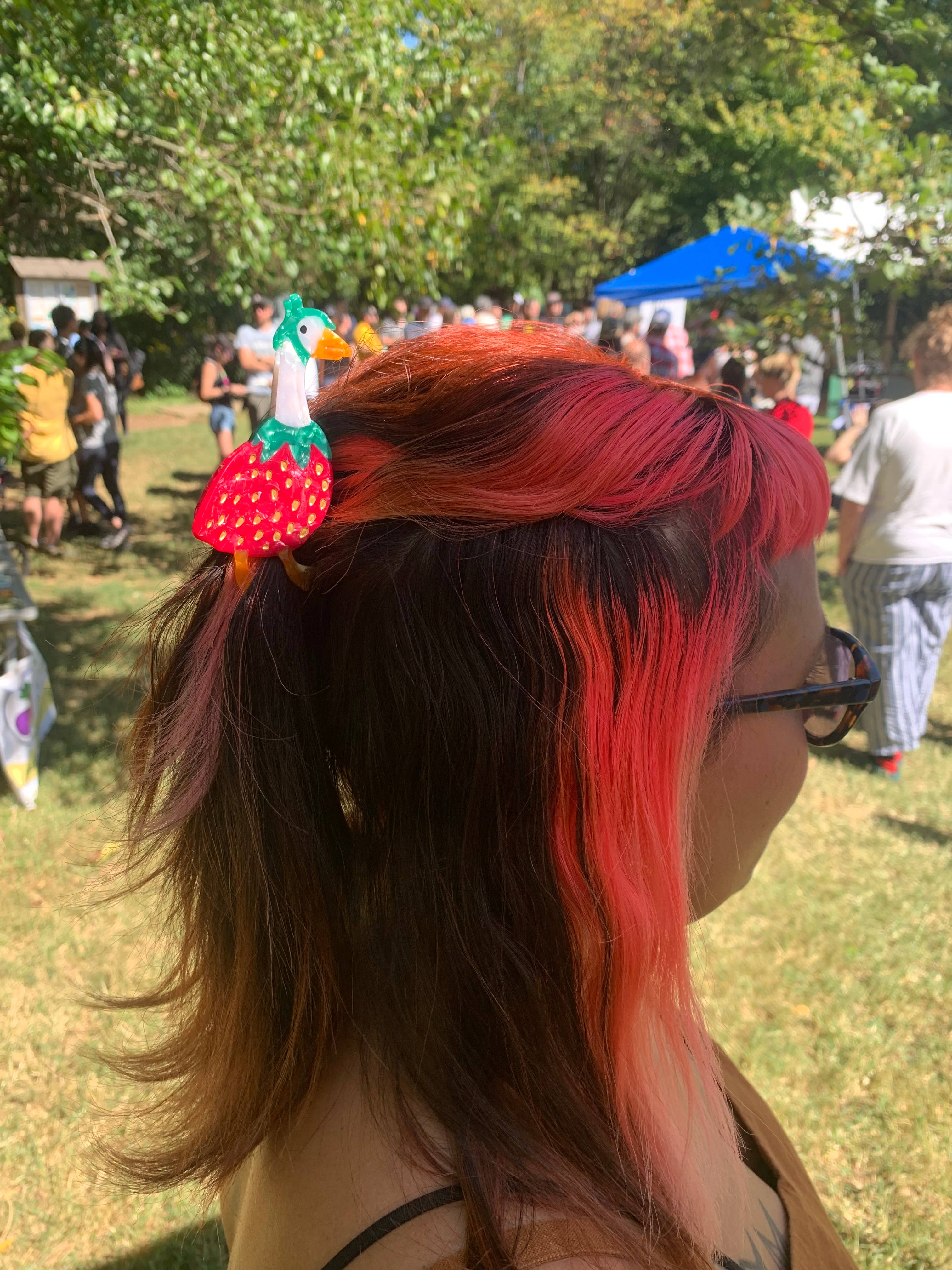 Gooseberry Acetate Hair Claw