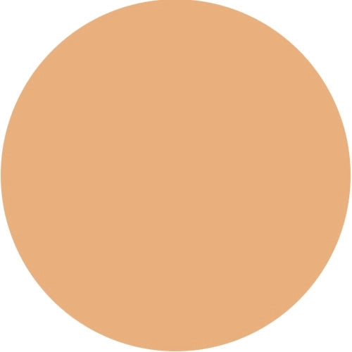 Makeup - Luxury Oil Blotting Pressed Powder