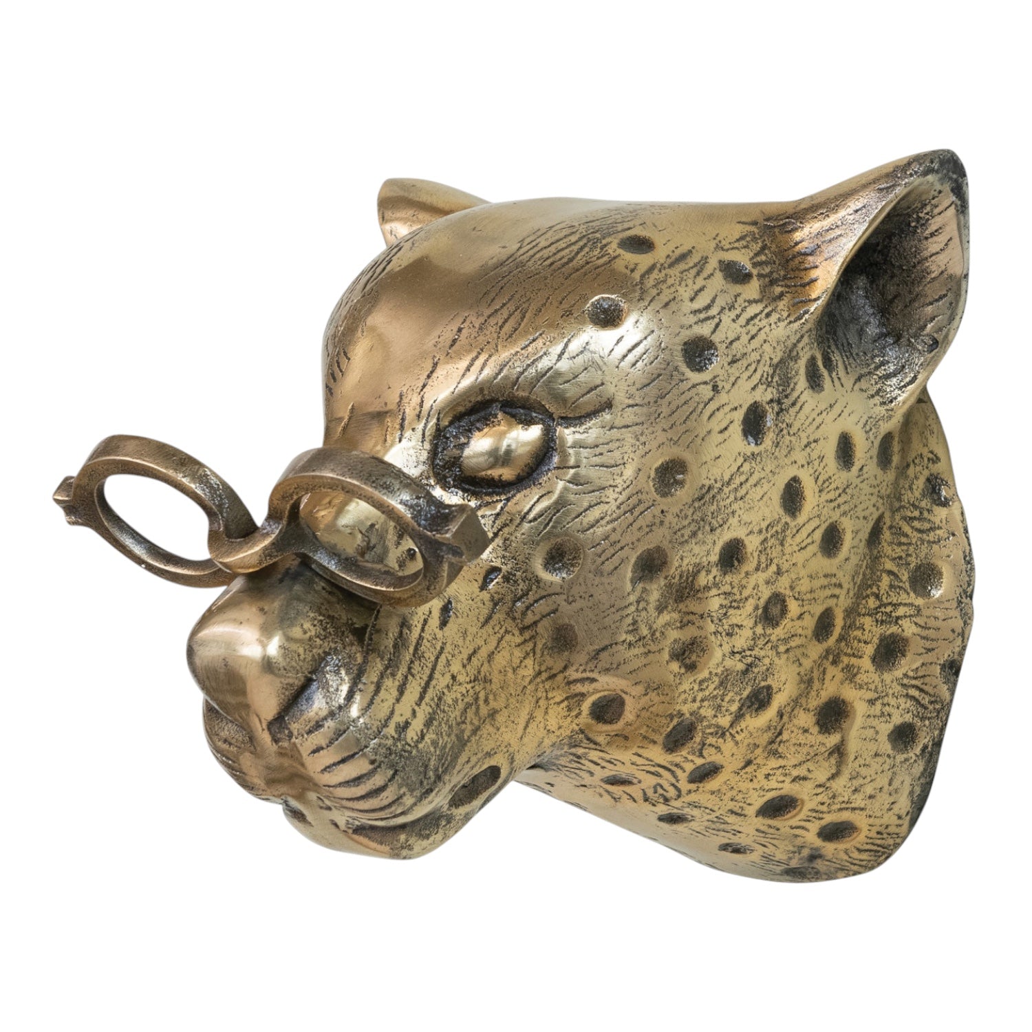 Brass Finish Cast Aluminum Leopard Head with Eyeglasses Wall Mount