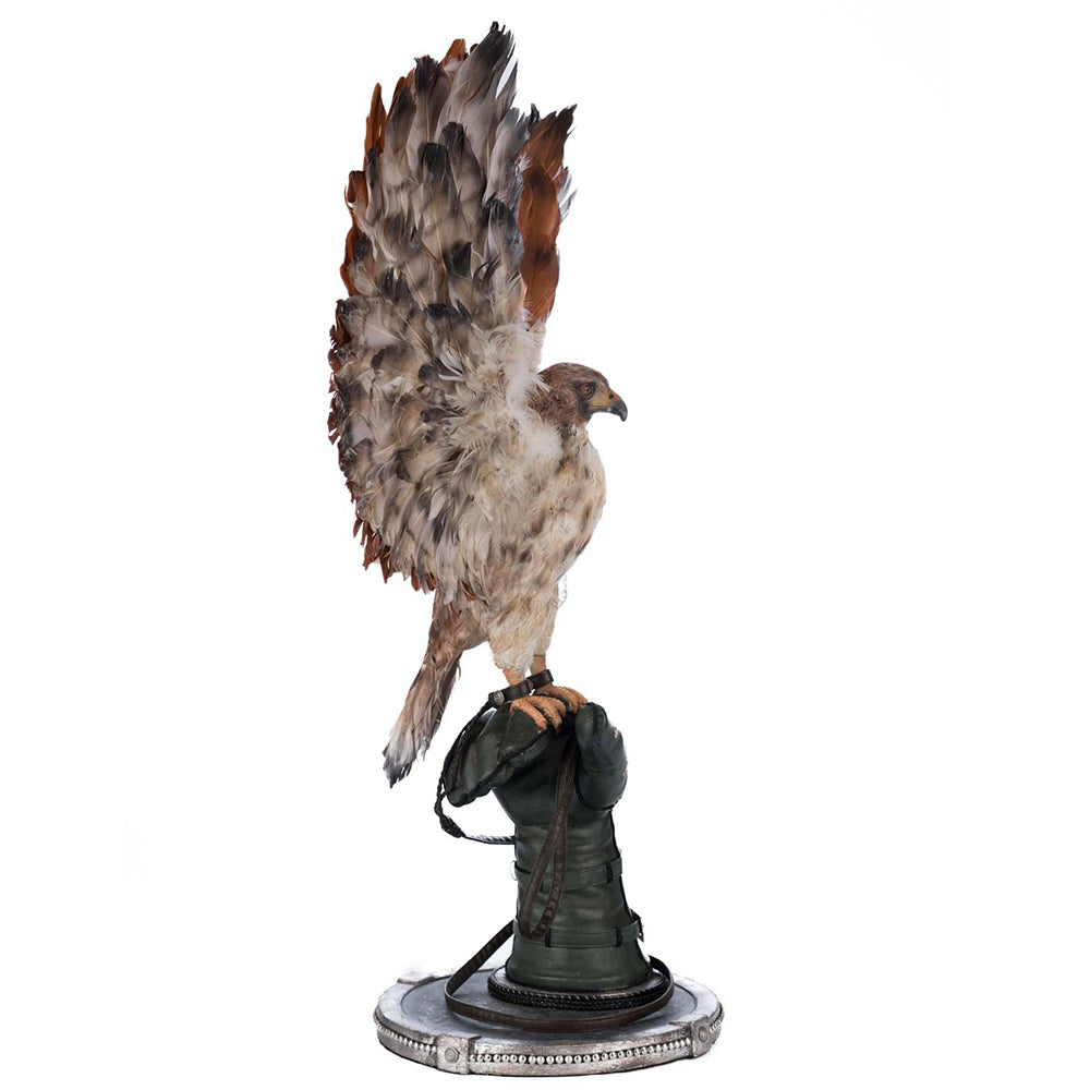 Argon Hawking on Perch by Katherine's Collection