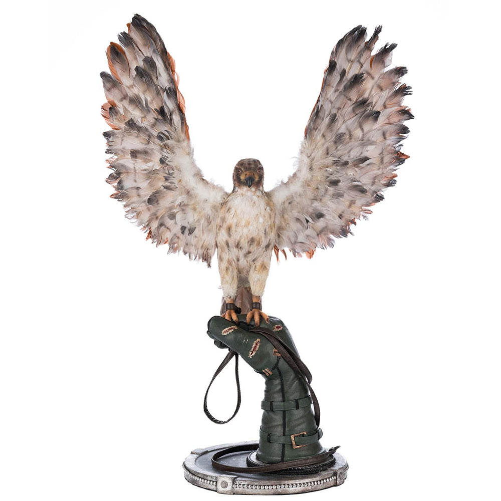 Argon Hawking on Perch by Katherine's Collection