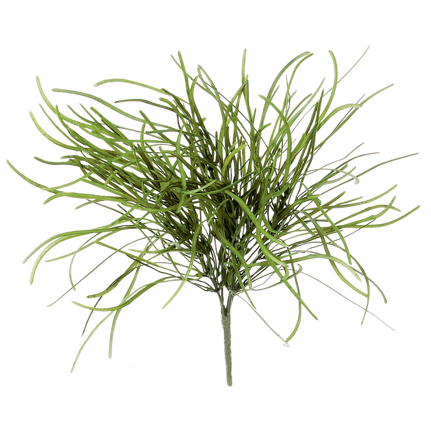 Pearl Grass Accent Bush Pick
