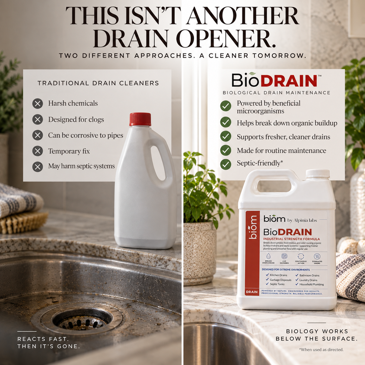 BioDrain | Bioactive Drain Maintenance