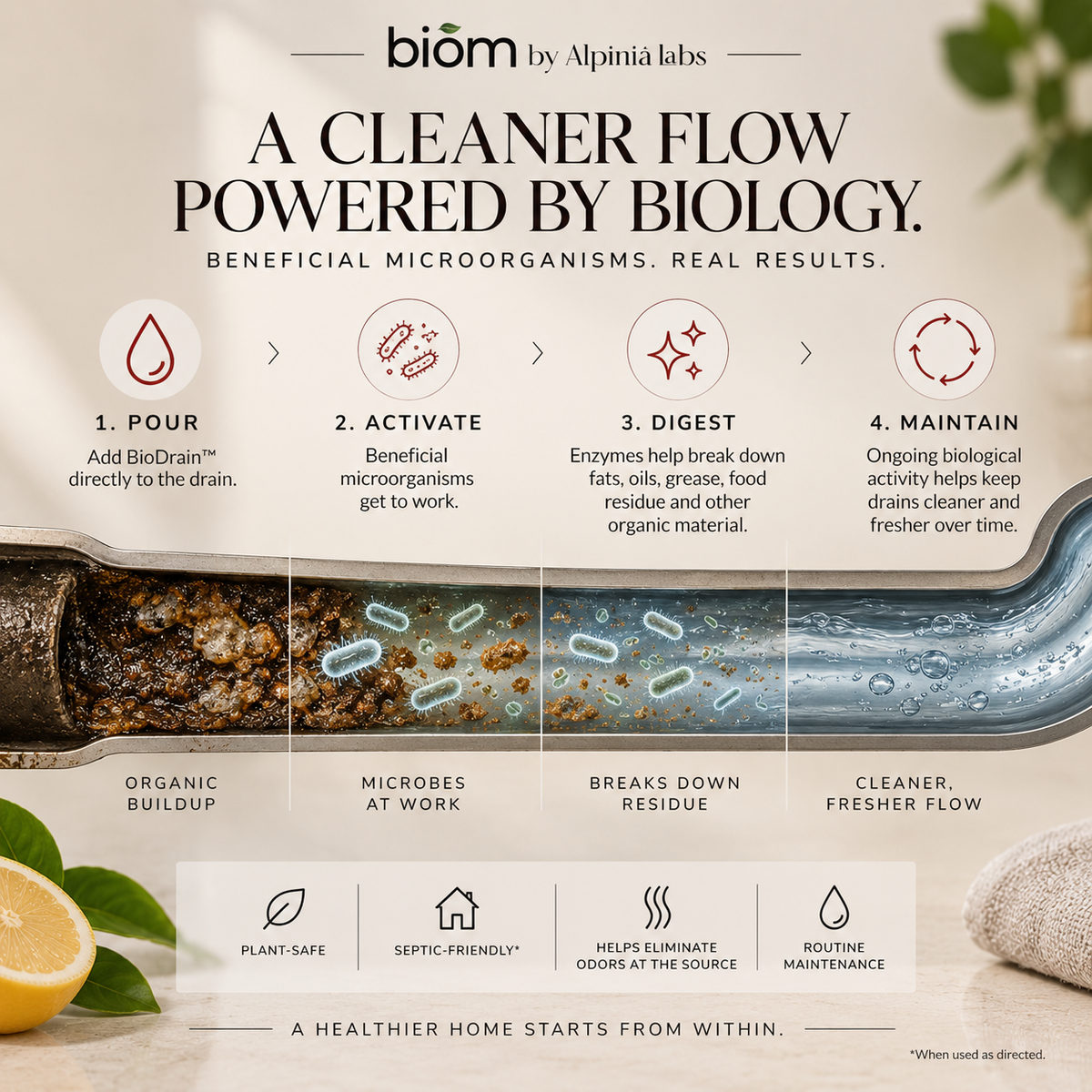 BioDrain | Bioactive Drain Maintenance