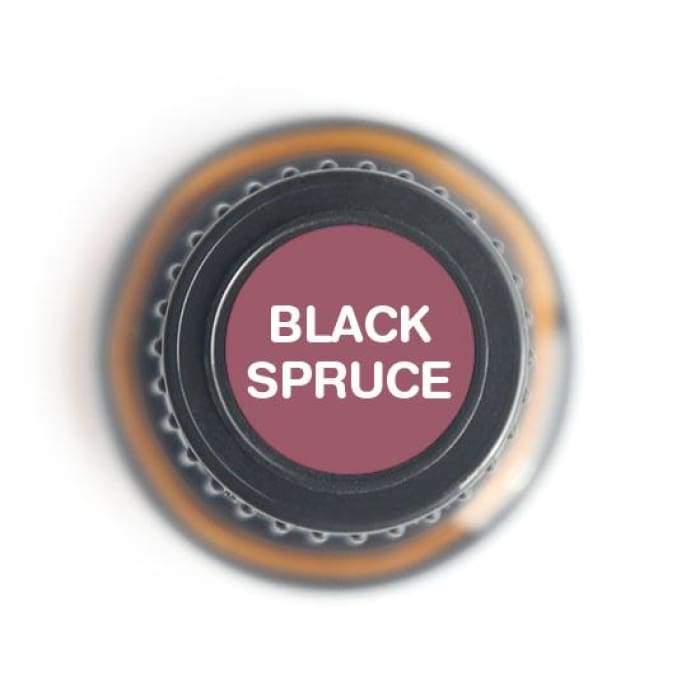 Black Spruce - 15ml - Essential Oil Bottle