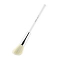 Brush #27 - Angle Brush