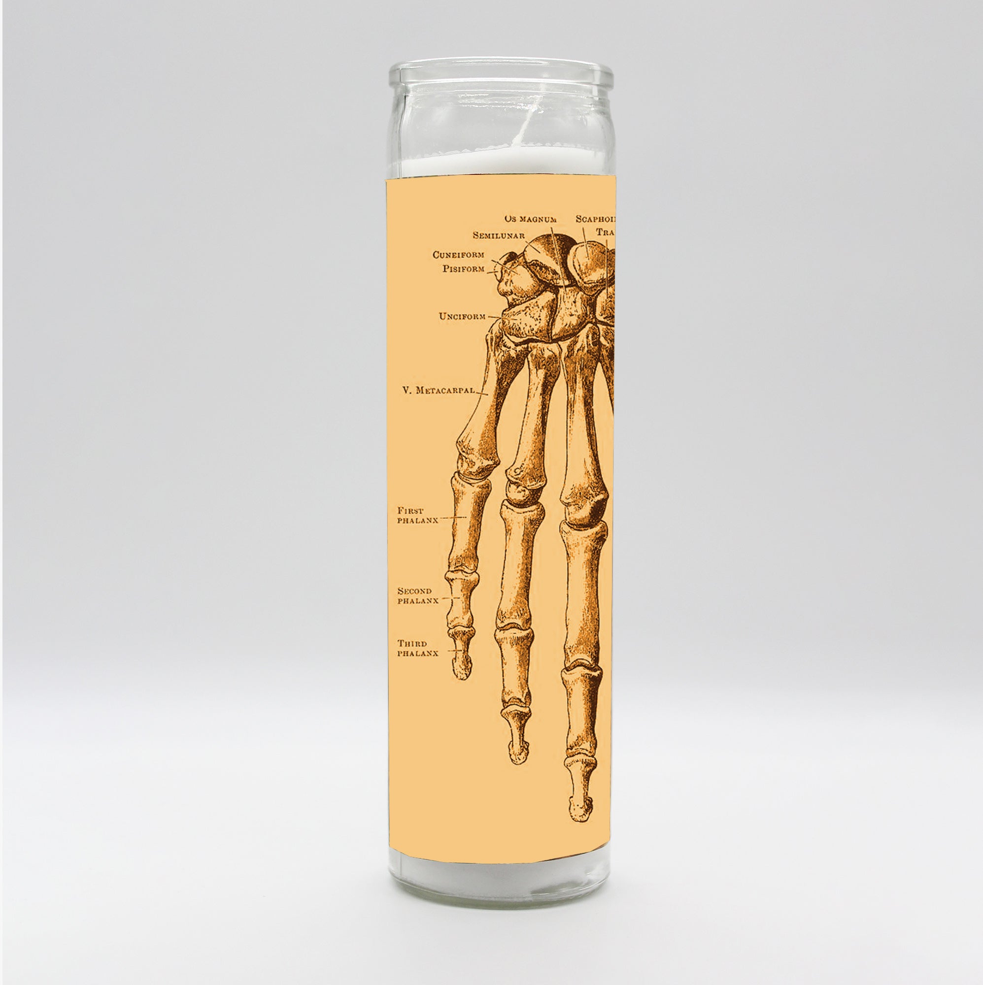 Saint Anatomy Hand Candle by BOBBYK