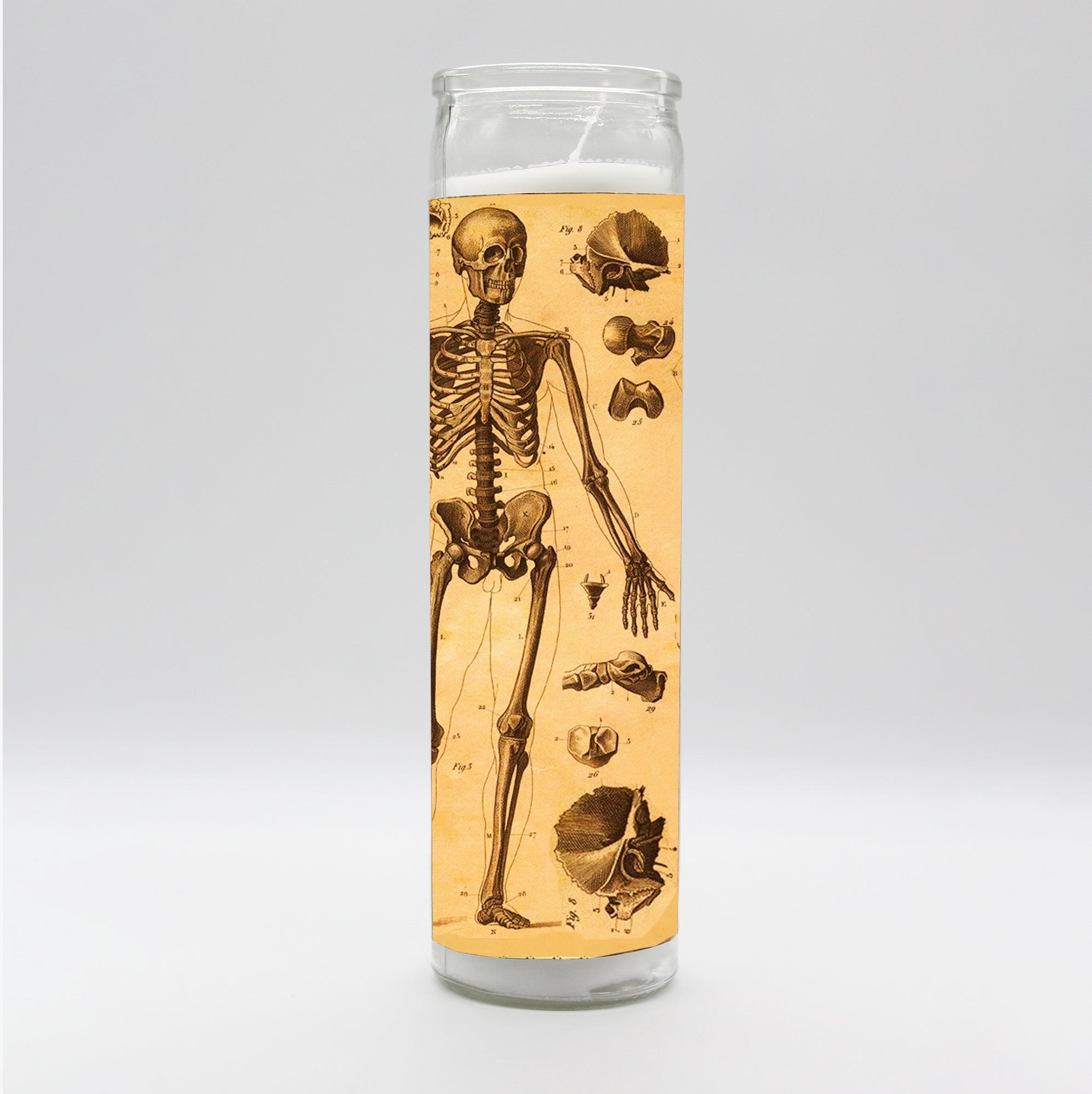 Saint Anatomy Skeleton Candle by BOBBYK
