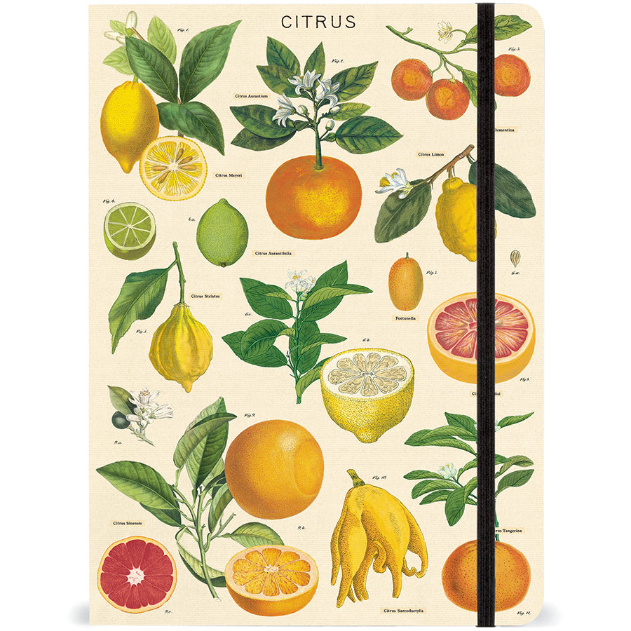 Vintage-Inspired Citrus Lemon Orange Notebook Journal with Elastic Closure