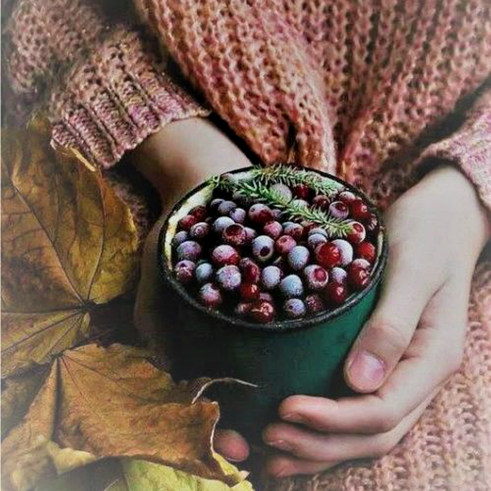 Cranberry Woods Sorbet by Wicked Good Perfume