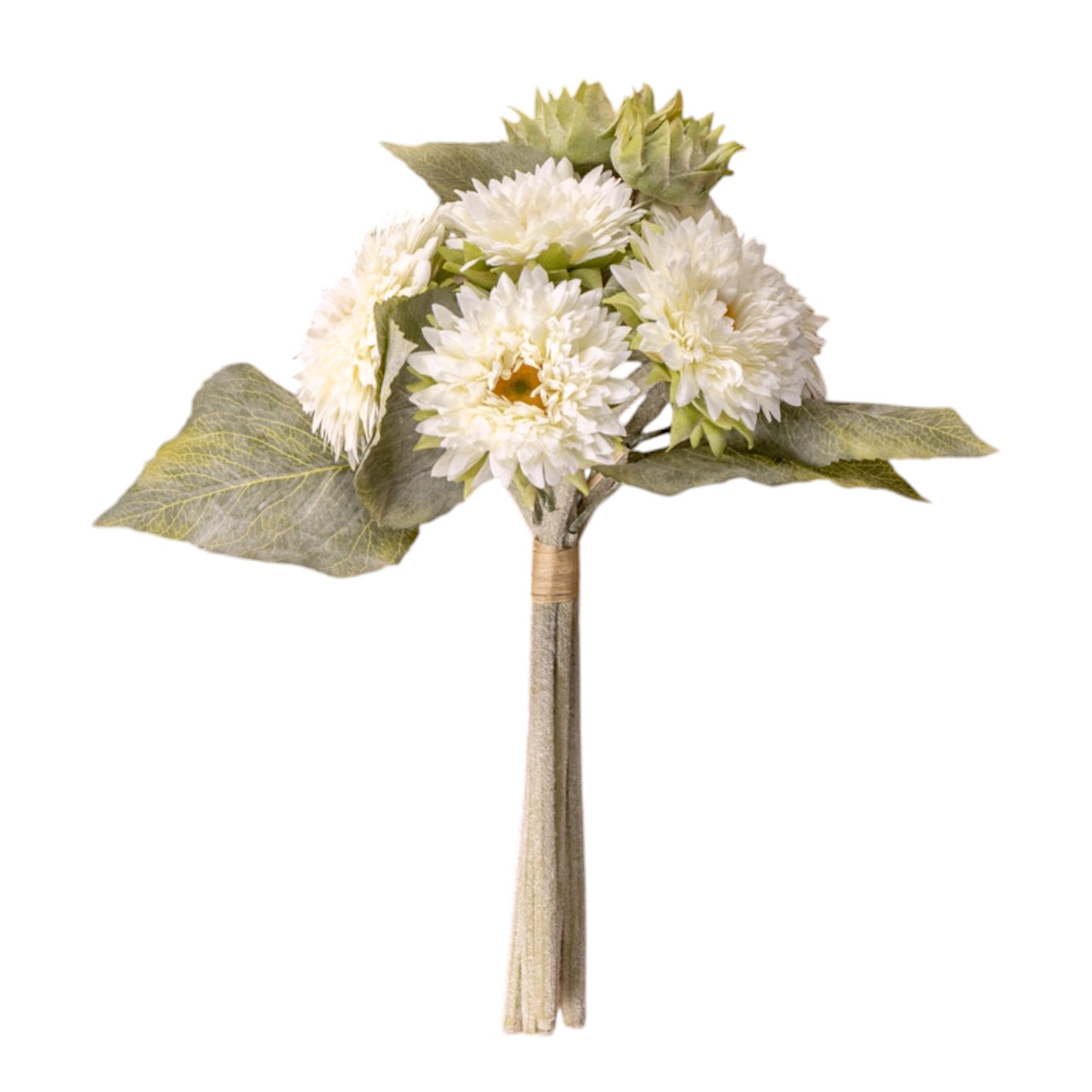 Cream Gerbera Daisy Bouquet