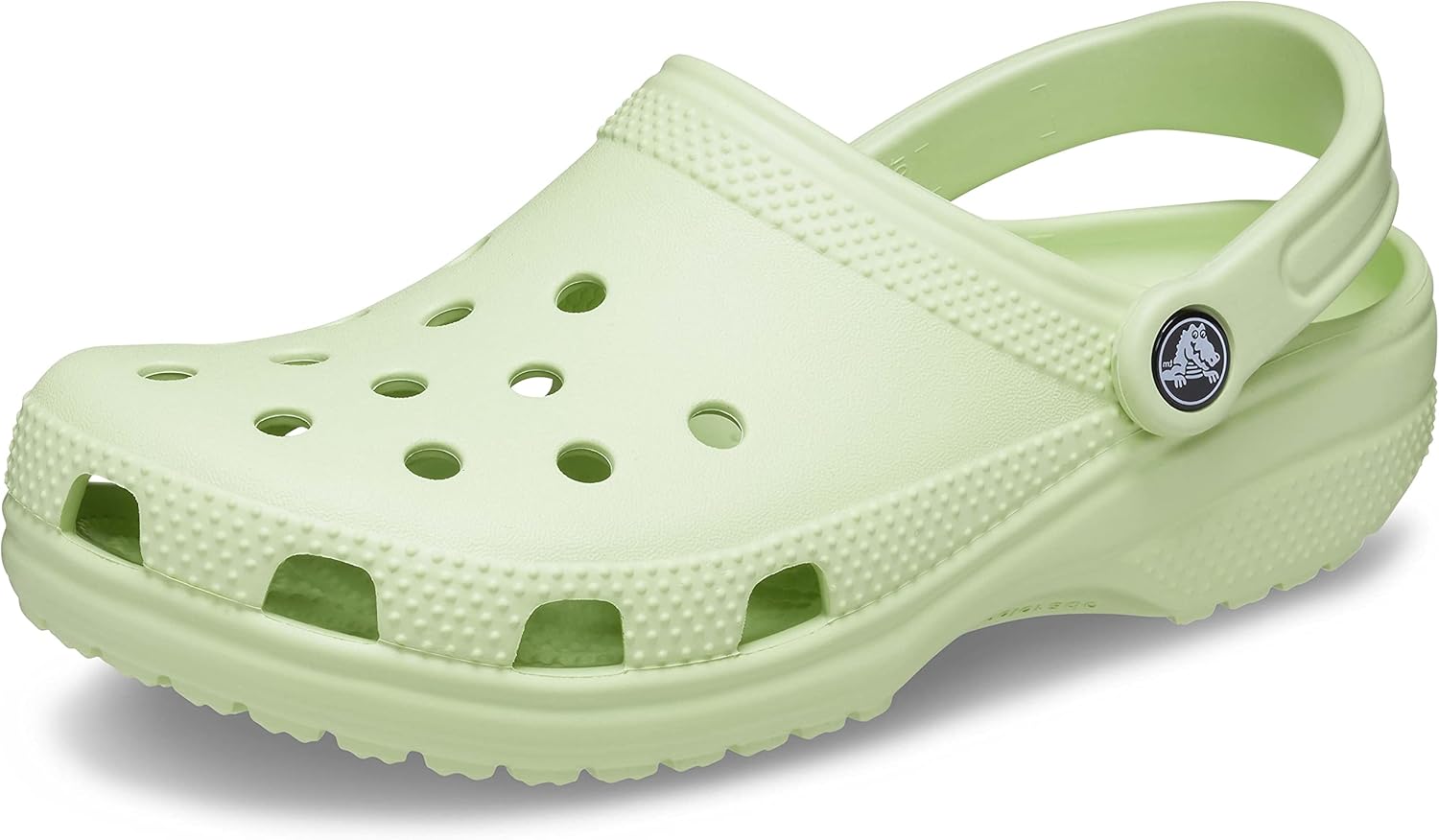 Crocs Unisex Adult Classic Clog