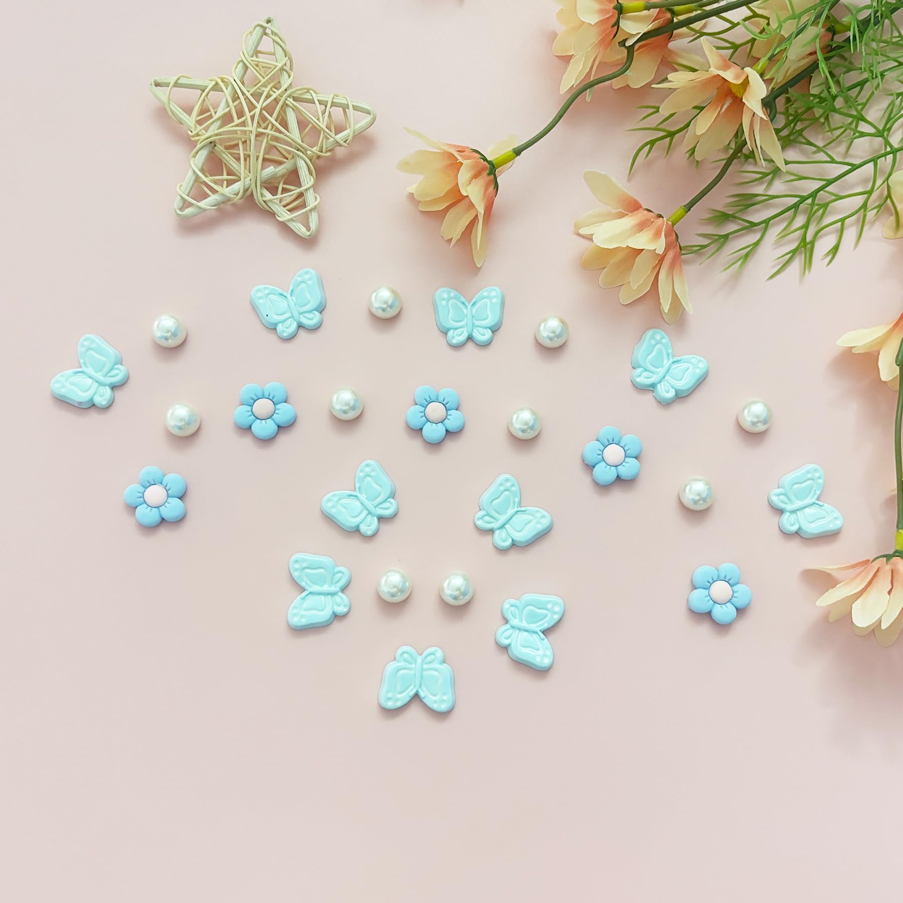 Cute Butterfly Flower Shoe Charms for Girls, 25Pcs Pink Girly DIY Shoe Decoration Charm for Clog Sandals, Party Favor