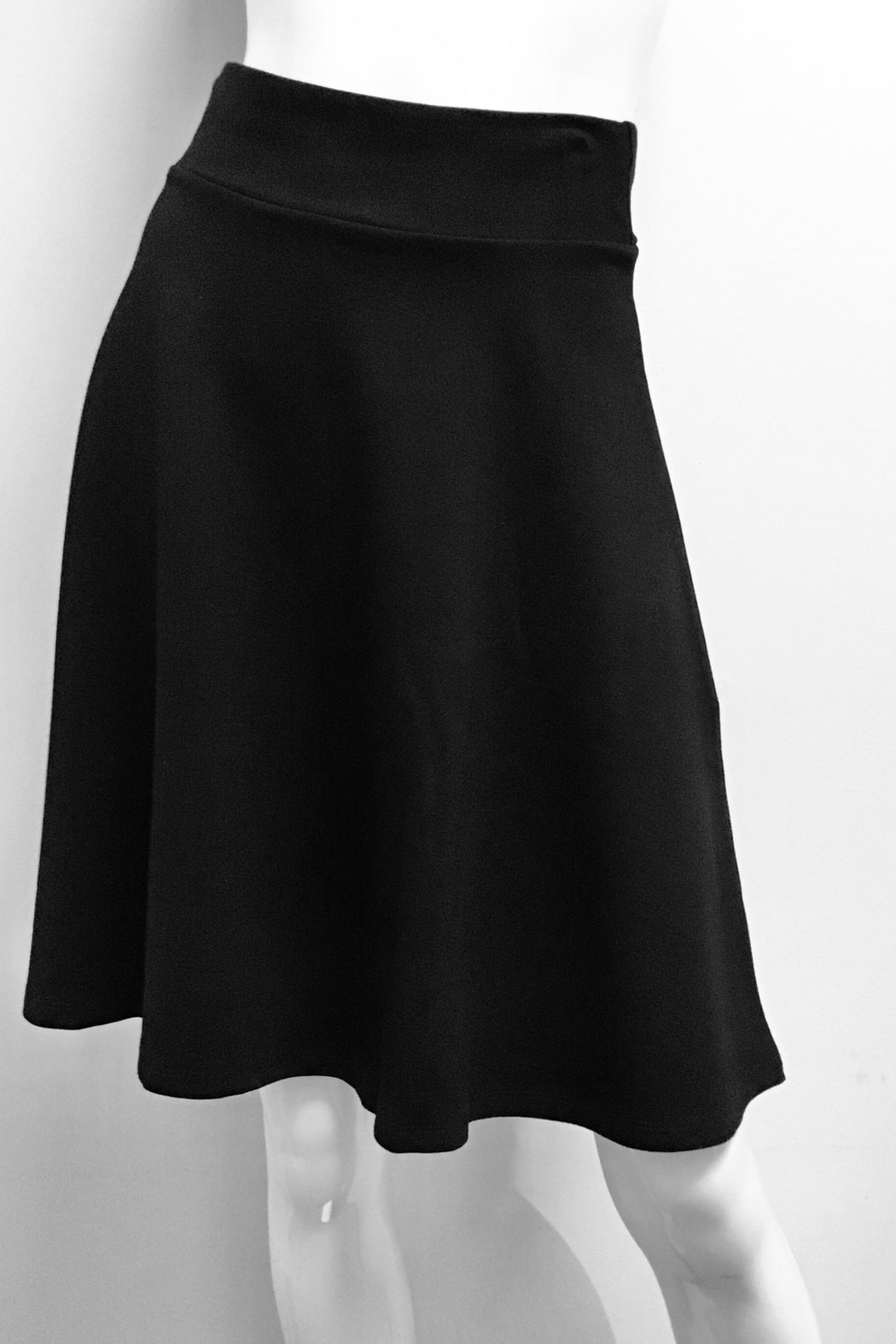 Short Dressy Skater skirt