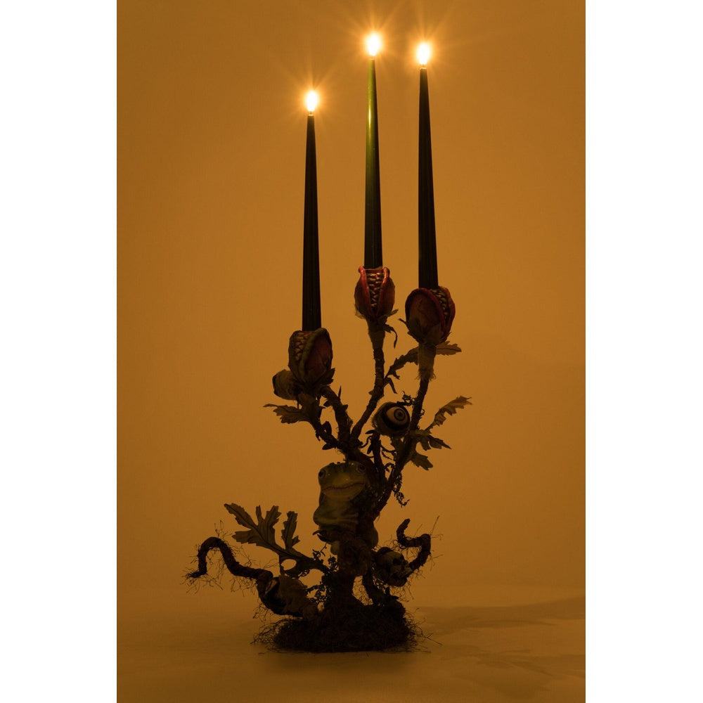 Enchanted Plant Candelabra by Katherine's Collection