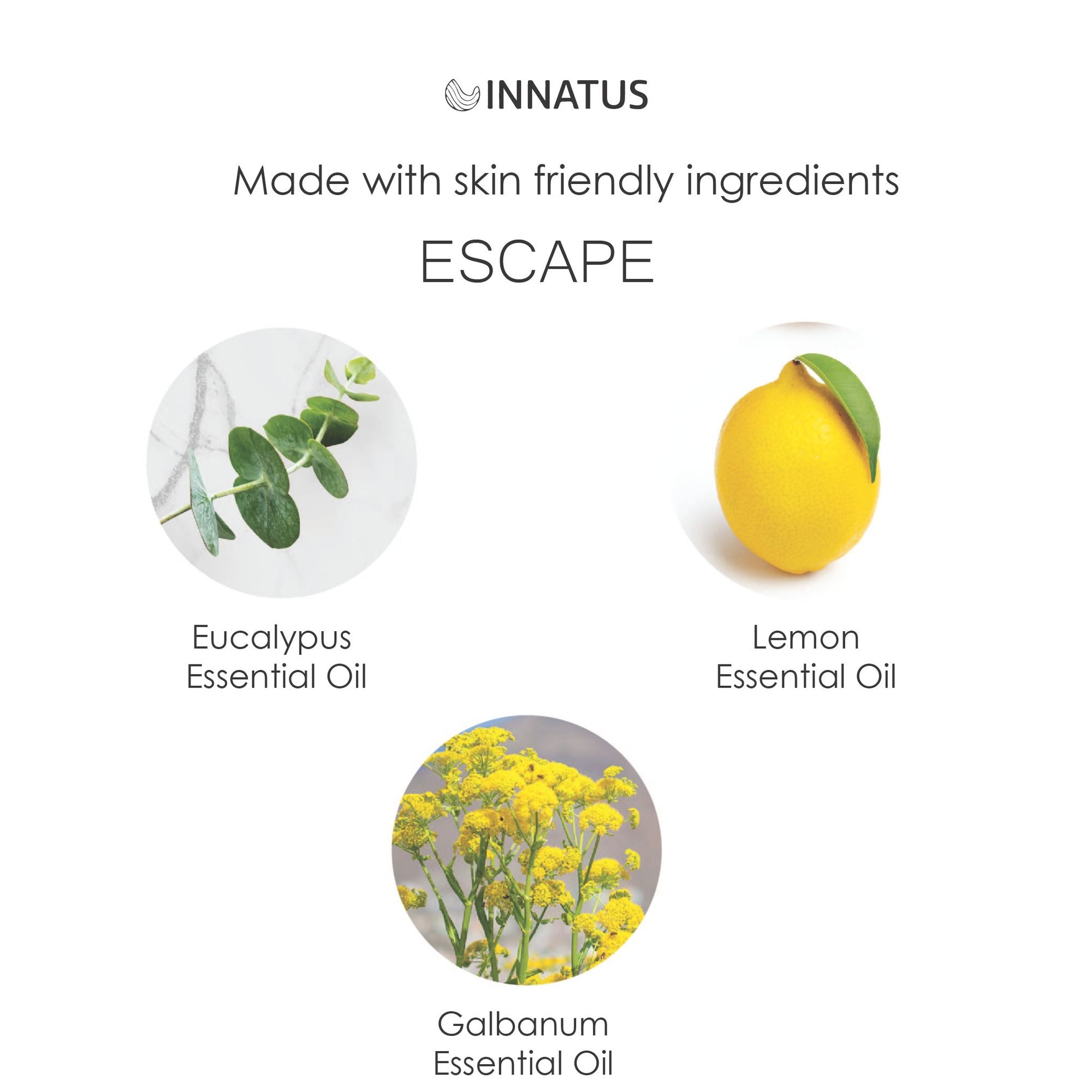 Escape Shower Spray with Eucalyptus & Lemon – 4oz Aromatherapy Shower Steamer Mist for Relaxation & Stress Relief – Infused with Galbanum for a Spa-Like Experience – Made in the USA  "