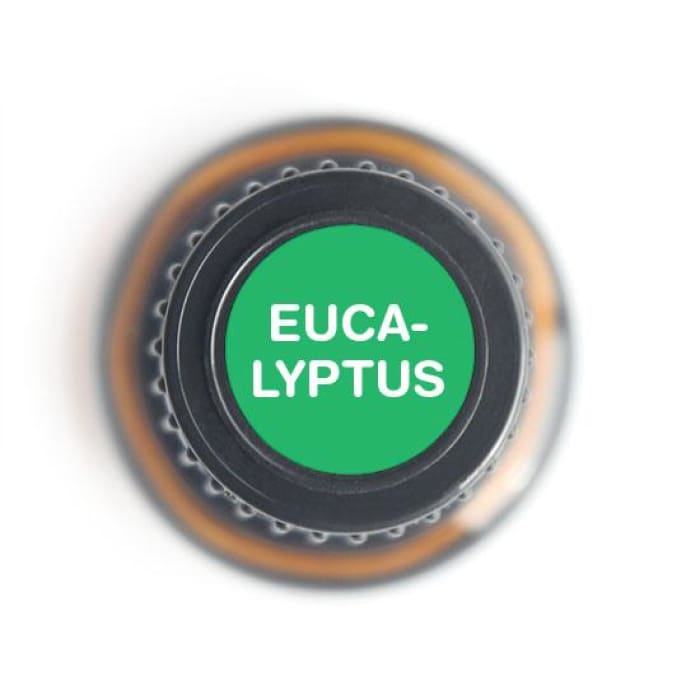 Eucalyptus Radiata Pure Essential OIl-15ml