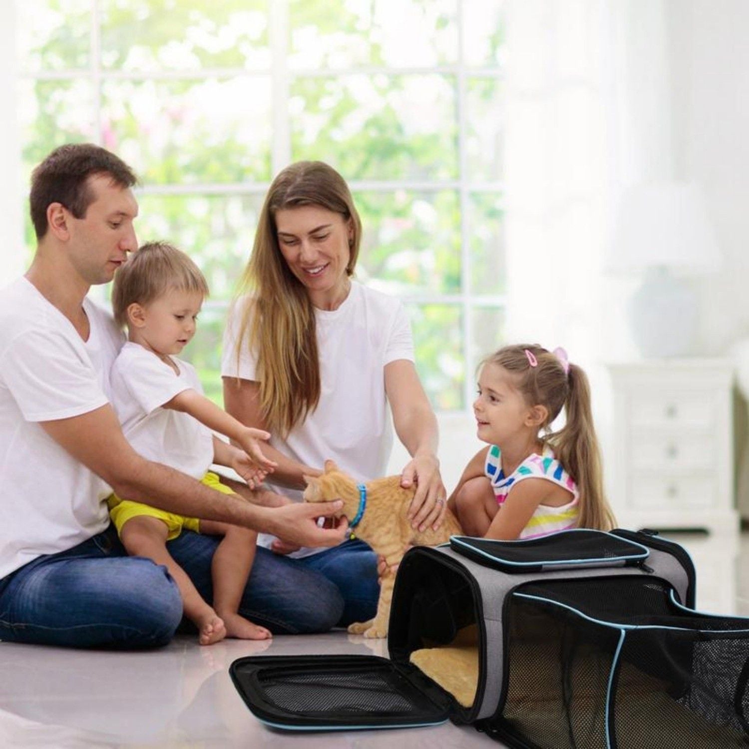 Expandable Pet Carrier Airline Approved Cat Dog Carrier Cat Collapsible Soft Carrier Bag with Removable Fleece Pad Pockets Breathable Mesh Adjustable Shoulder Strap Ban on Amazon sales