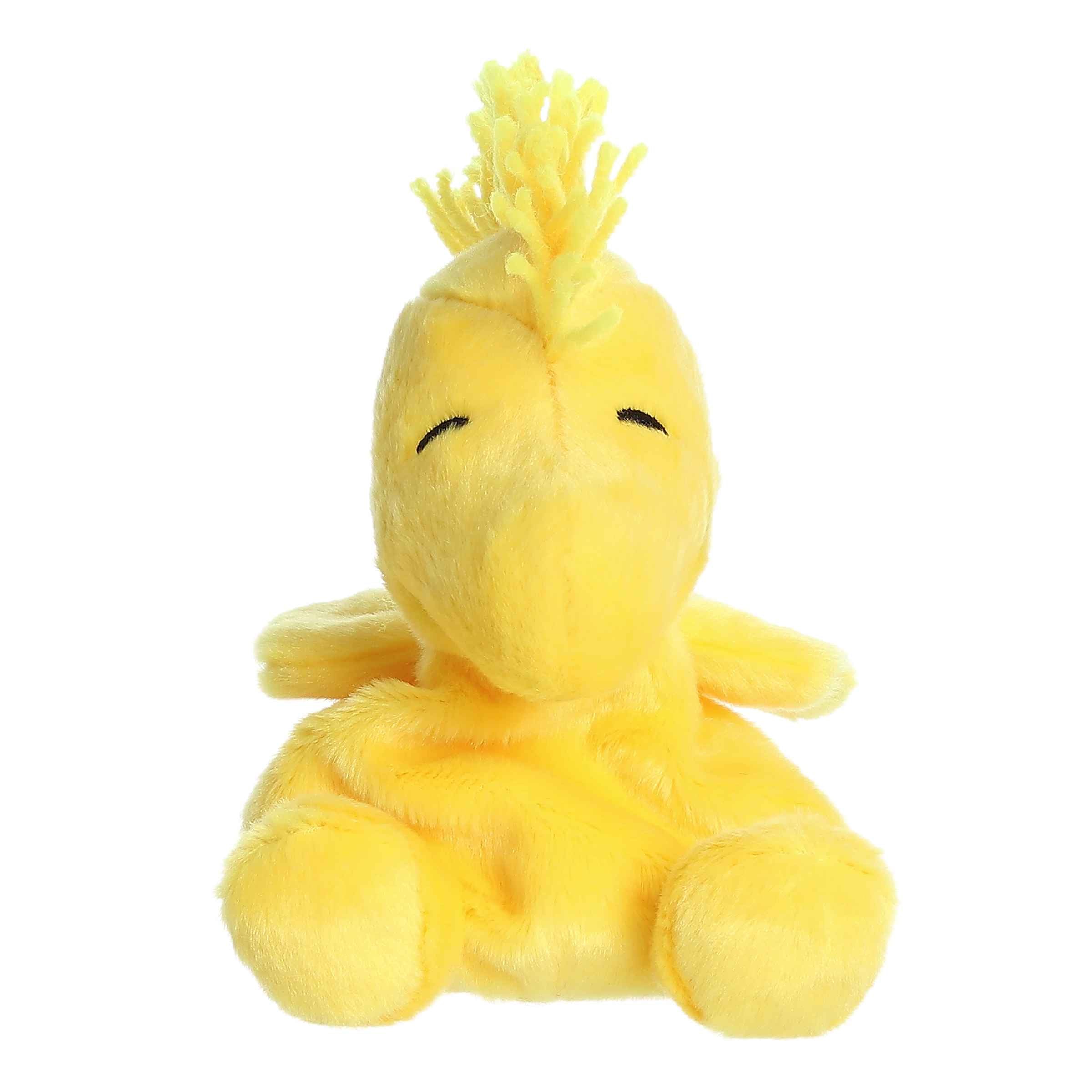 Woodstock  Palm Pal