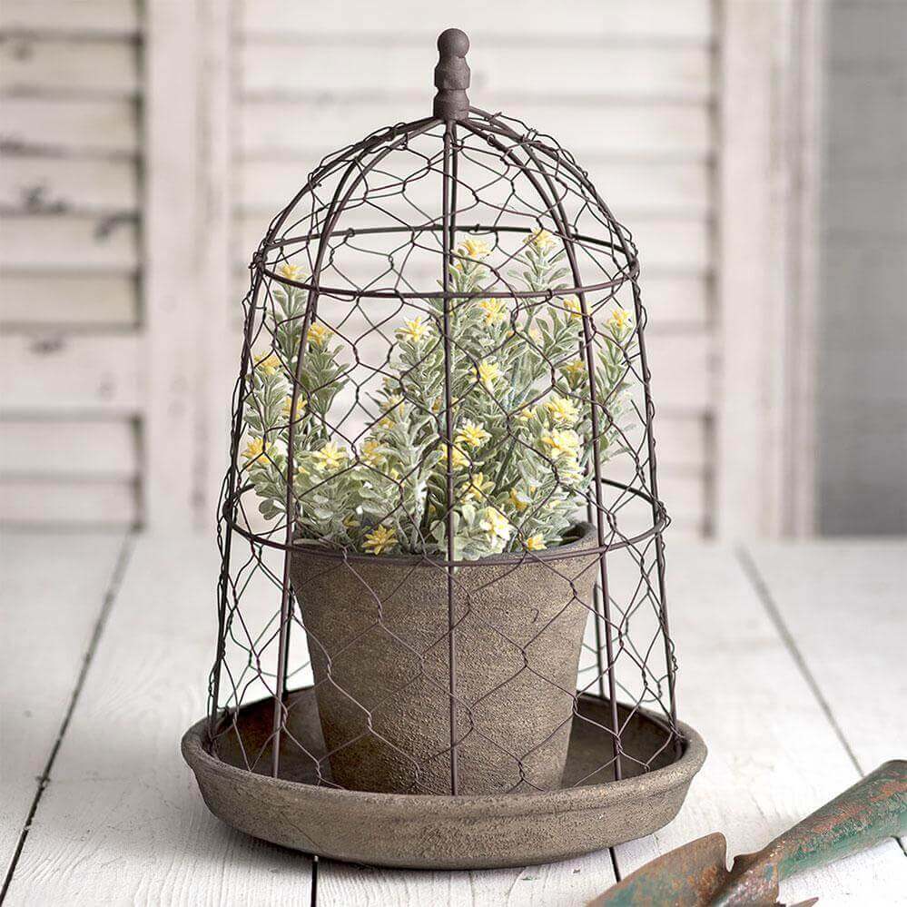 Farmhouse Chicken Wire Cloche with Terracotta Pot and Saucer