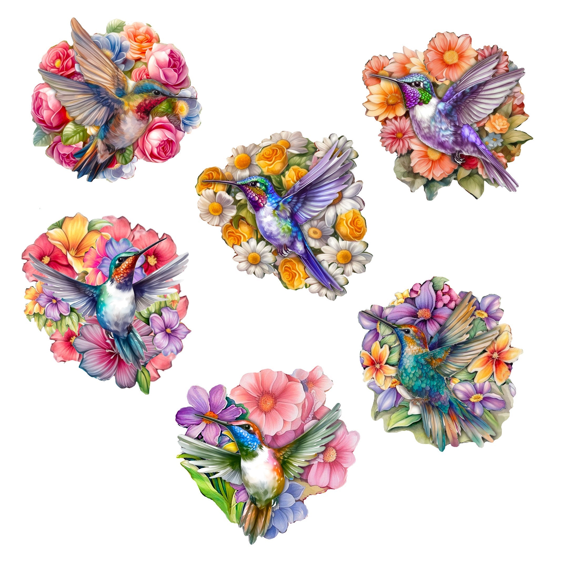 Hummingbirds Decorative Wooden Magnets Set of 6 by G. Debrekht - Wildlife Decor - 8090140G-S6