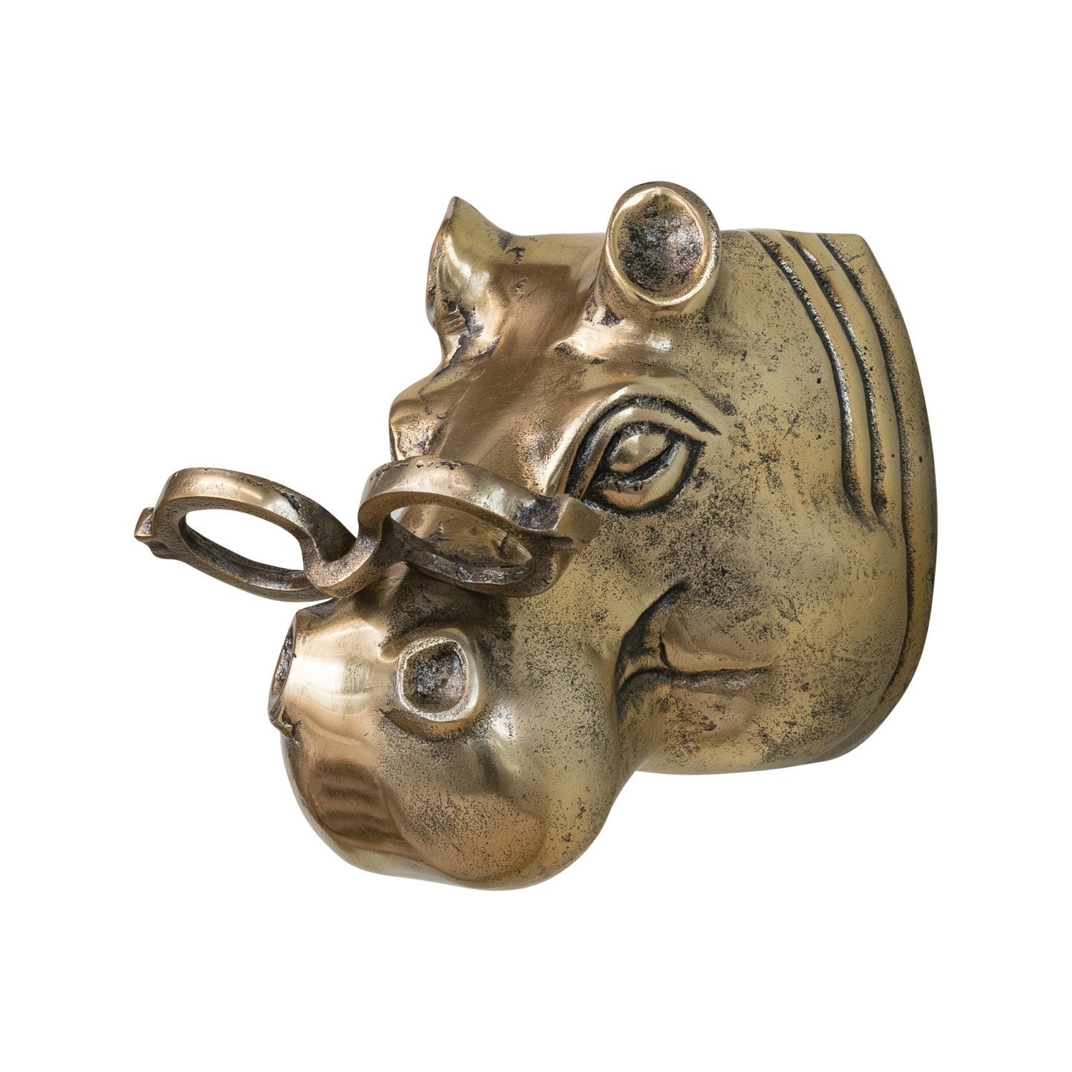 Brass Finish Cast Aluminum Hippo Head with Eyeglasses Wall Mount
