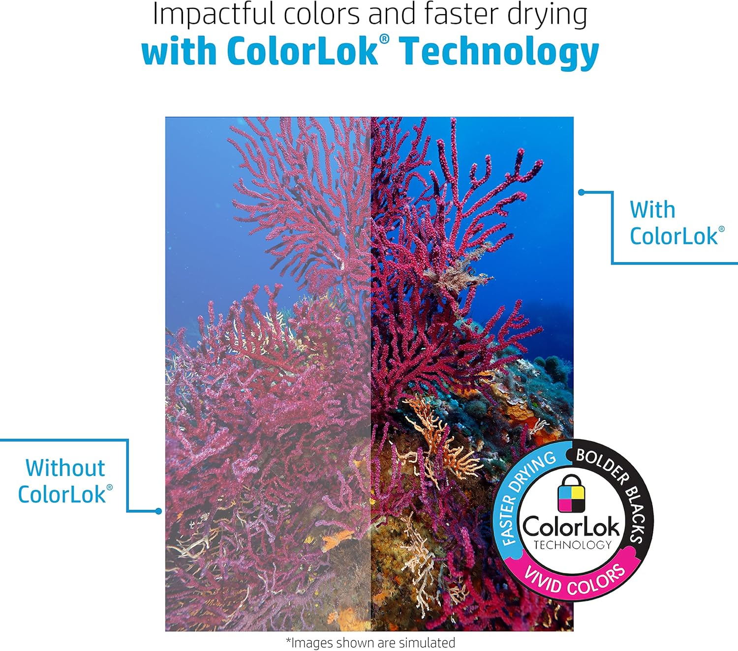 HP Printer Paper | 8.5 x 11 Paper | Copy &Print 20 lb | 1 Ream Case - 500 Sheets| 92 Bright | Made in USA - FSC Certified | 200060