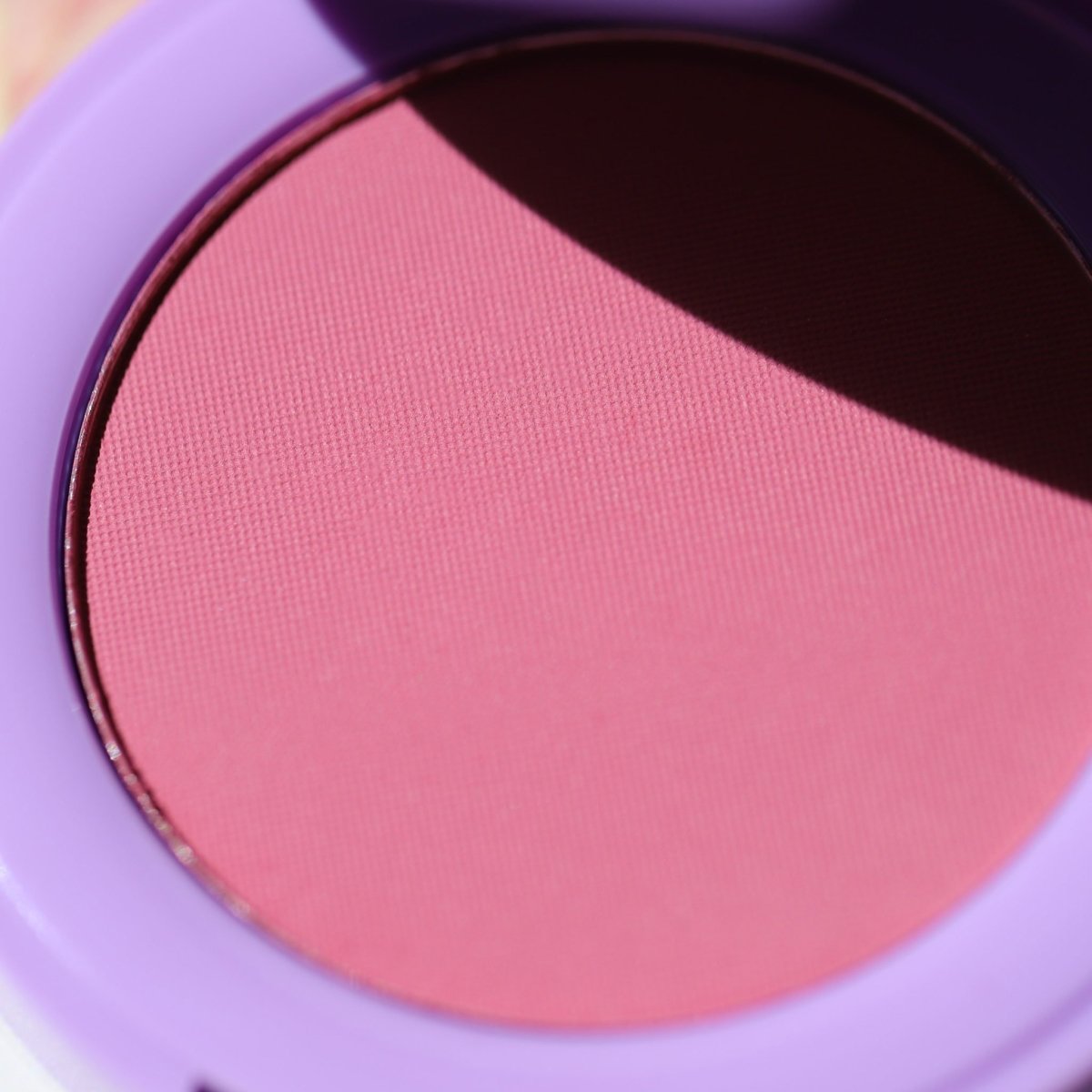 In Bloom Powder Blush, bunny - Half Caked