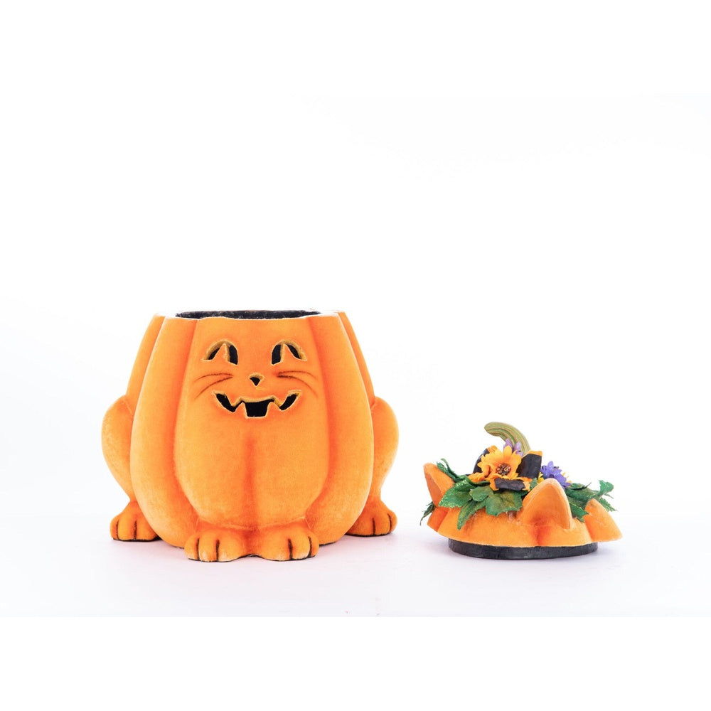 Jackie The Kitty Cat Pumpkin Candy Container by Katherine's Collection