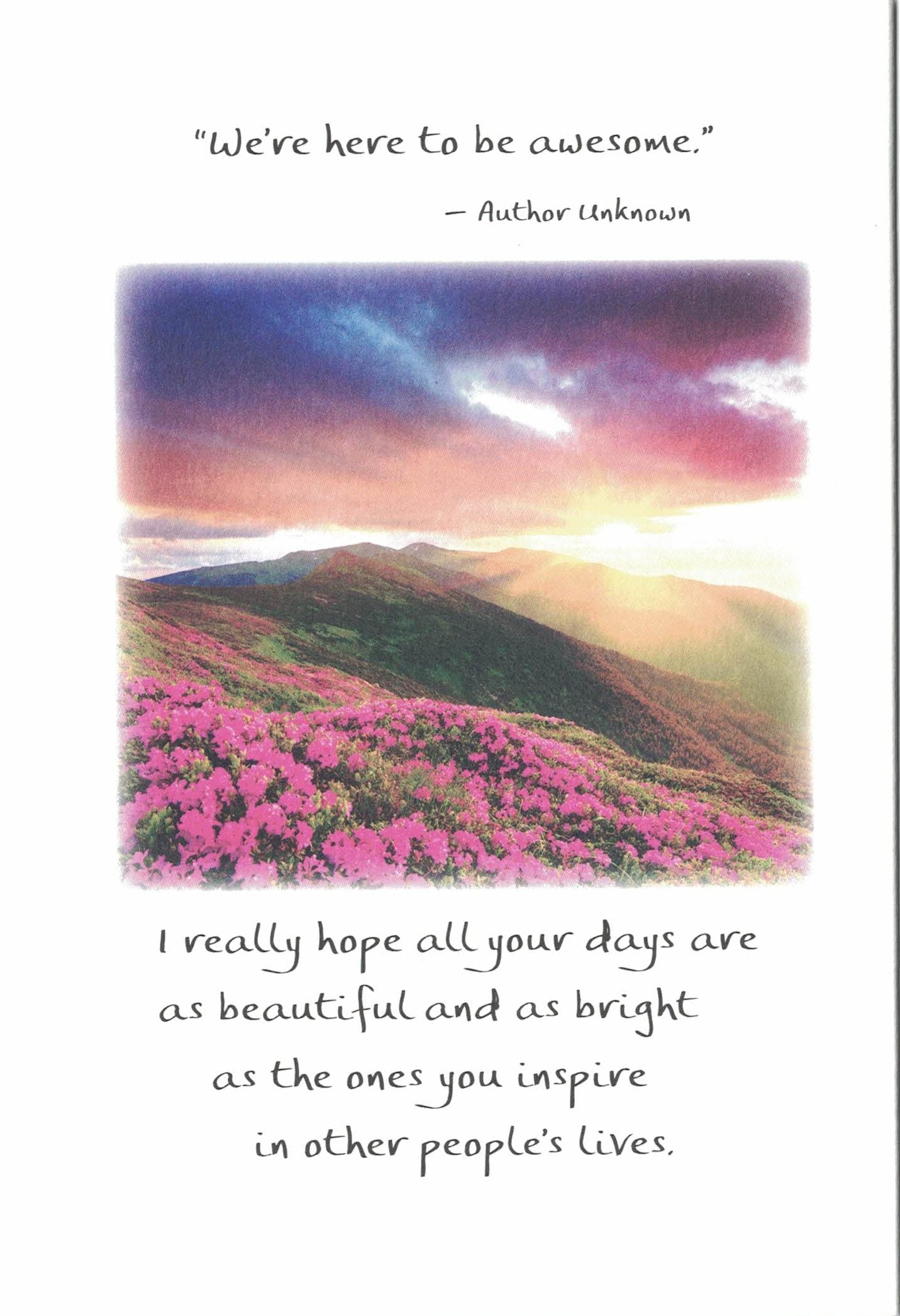 You are One Amazing Lady Greeting Card