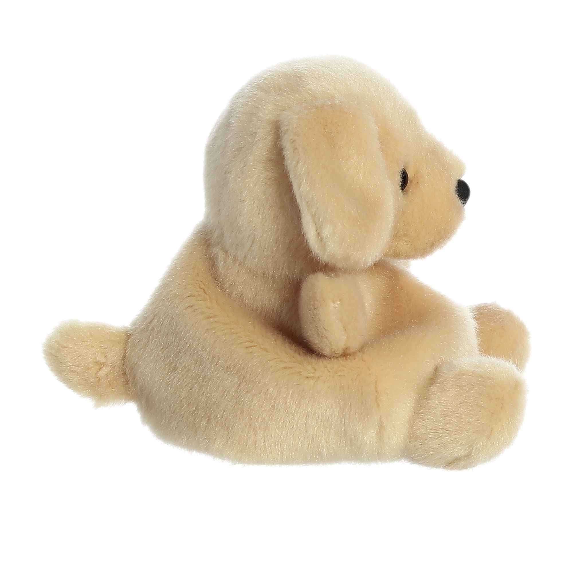 Sunny Lab Palm Pal