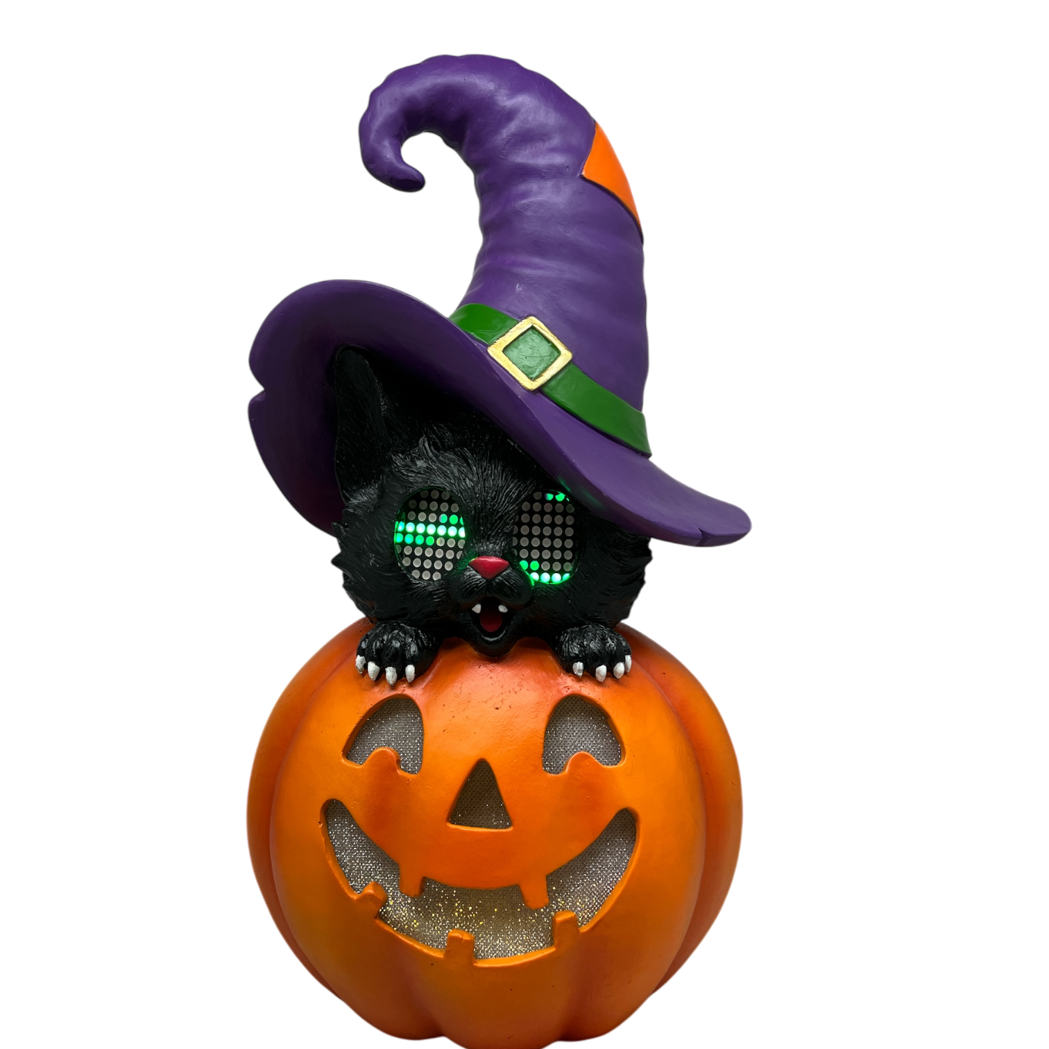 Cat On Pumpkin  With Moving Digital Eyes