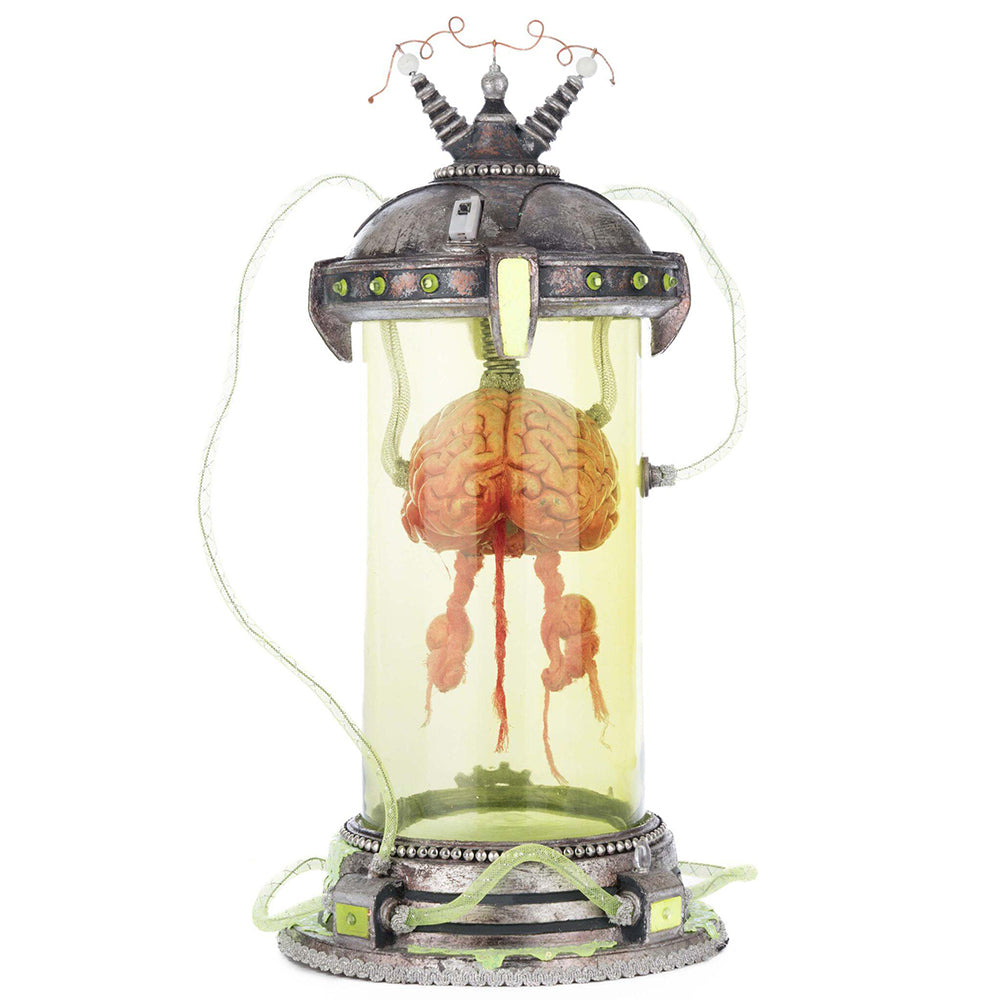 Marvin the Brain in Cloche by Katherine's Collection