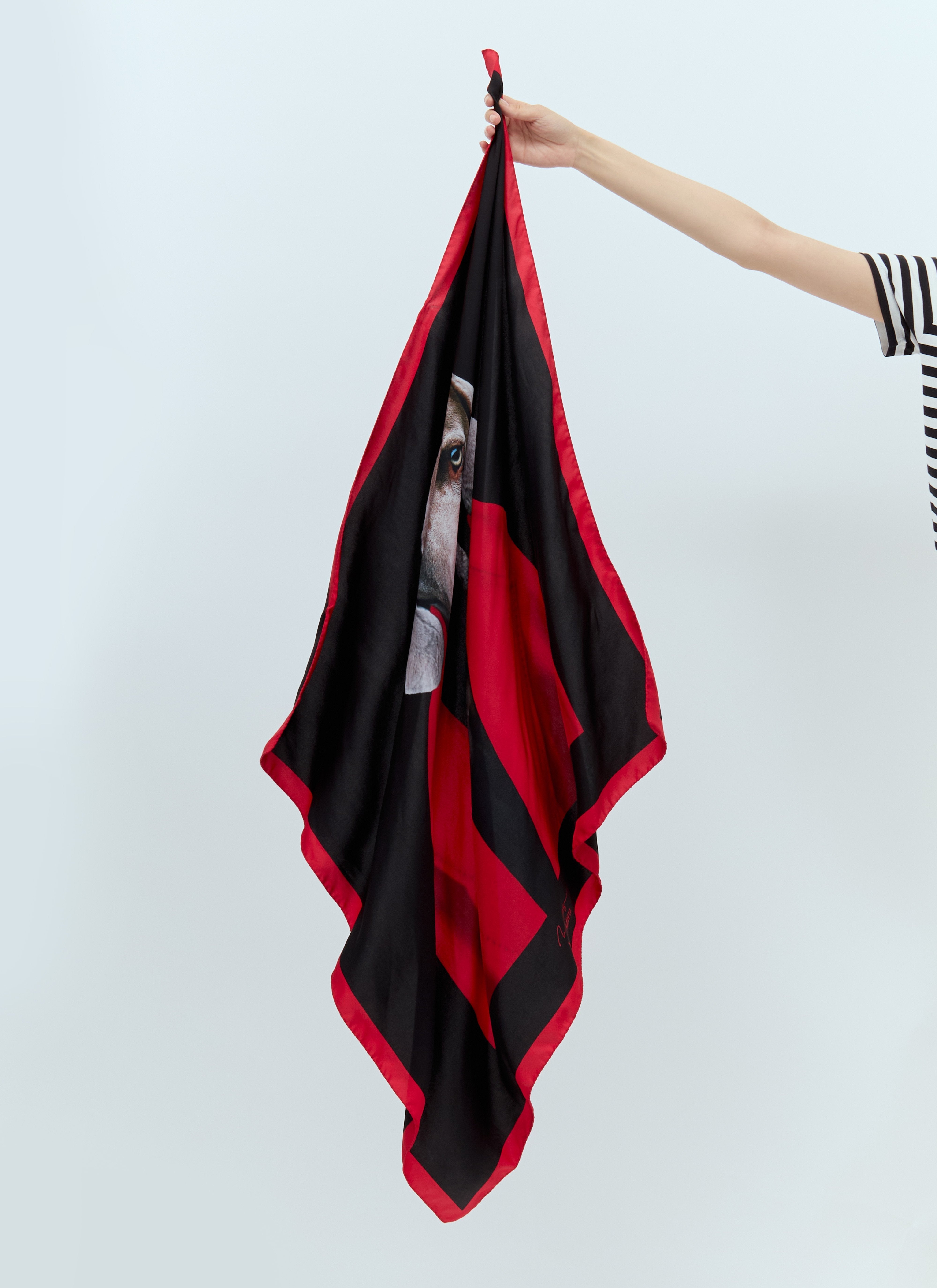 Max Mara Women Printed Silk Scarf