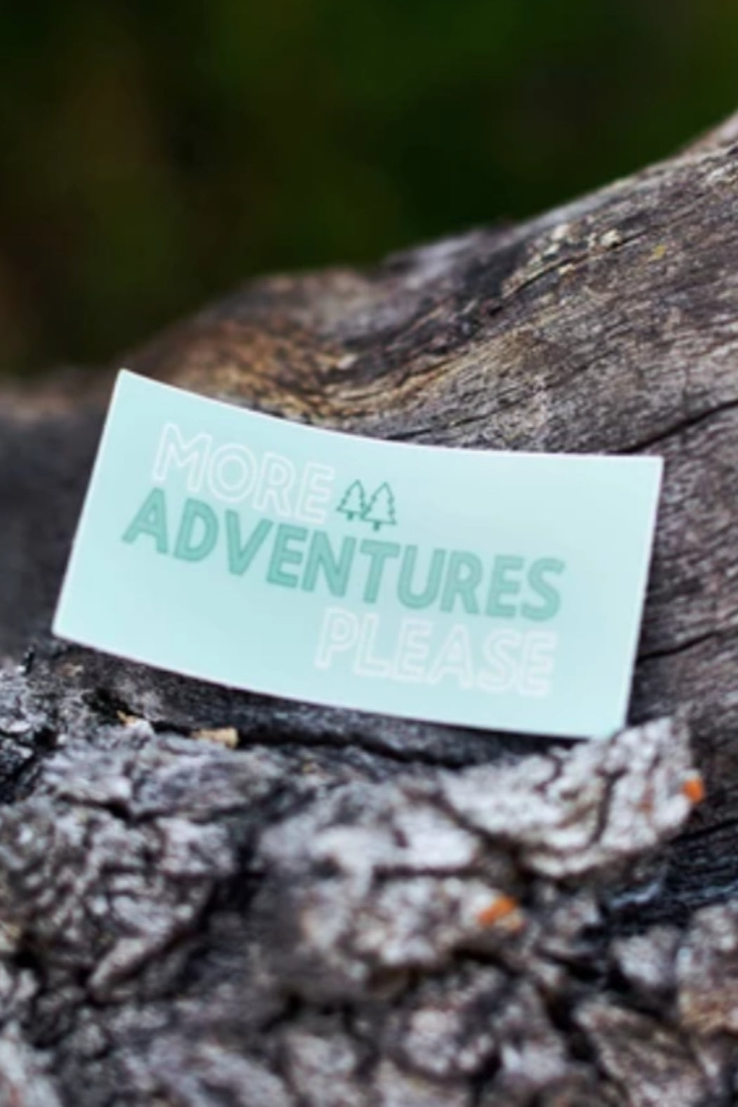 "More Adventures Please" Decal Sticker