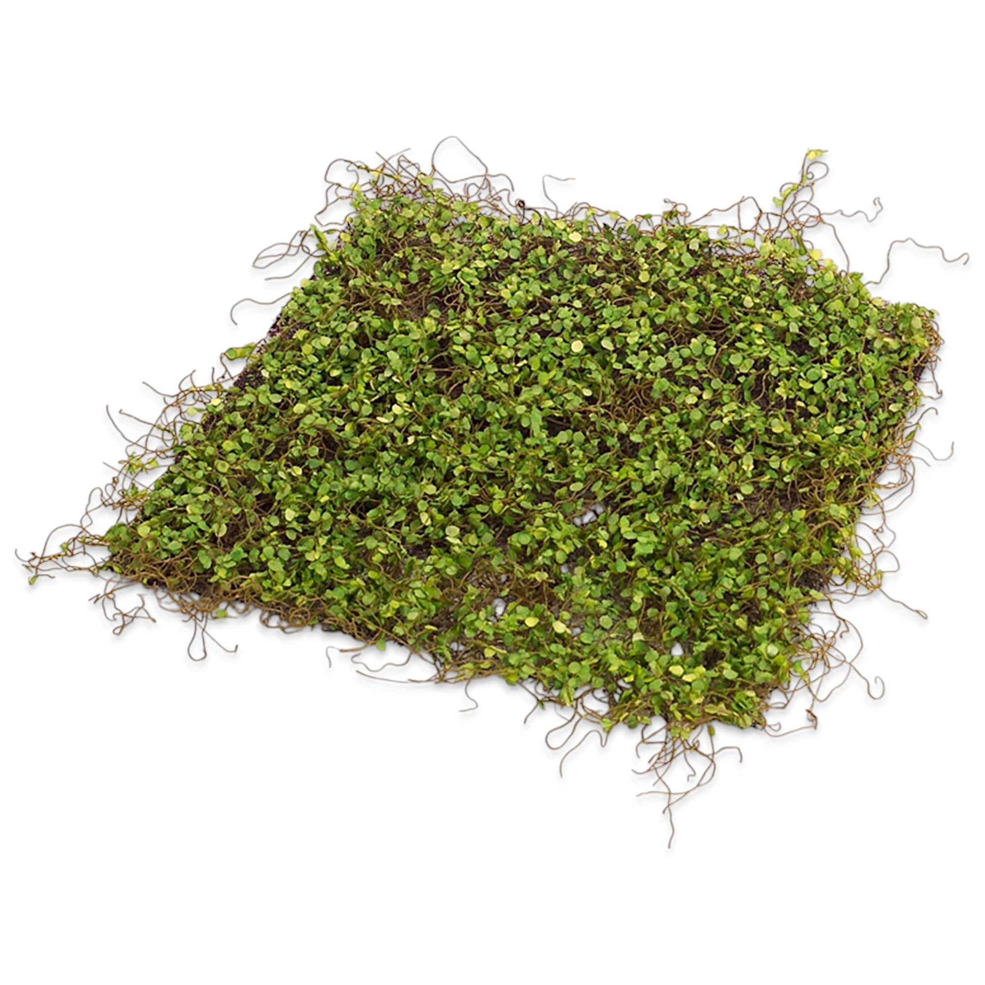 Green Moss Mat | 12'' Square