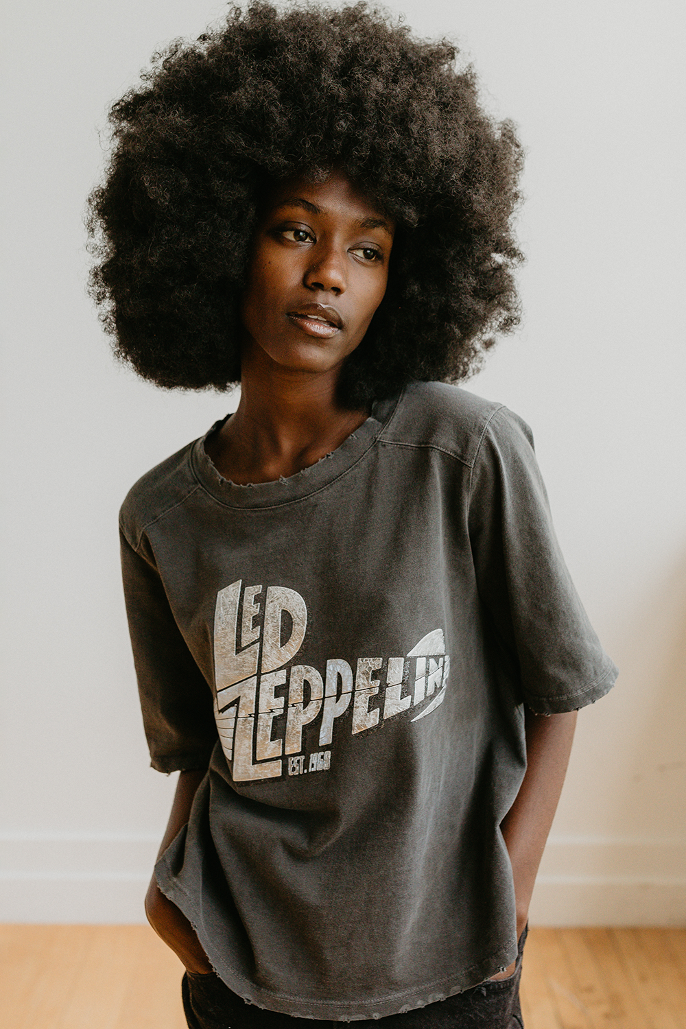 Led Zeppelin Mothership 1968 Tee by People of Leisure