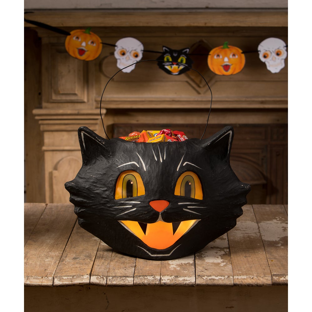 Mr. Cool Cat Bucket by Bethany Lowe Designs