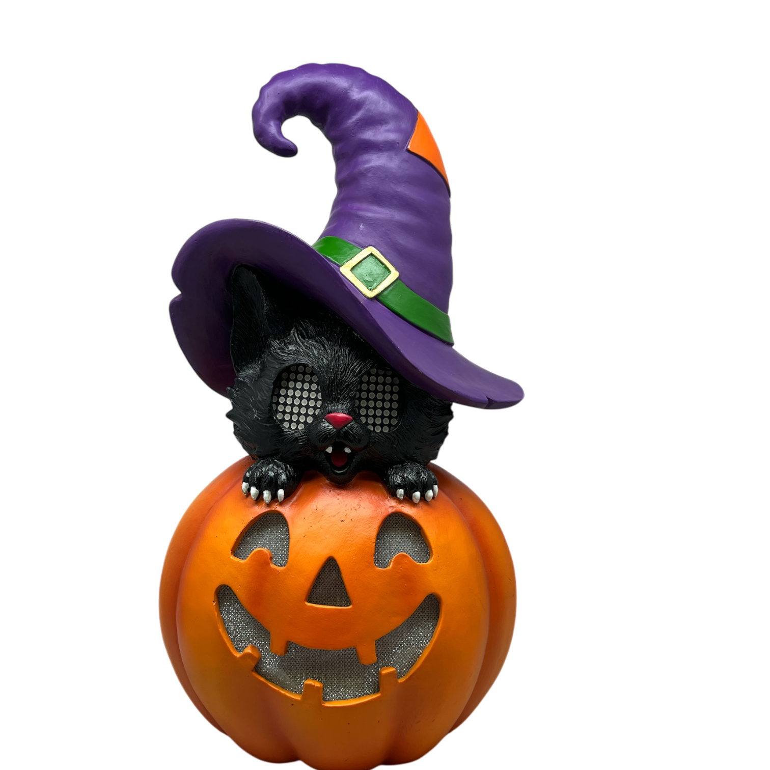 Cat On Pumpkin  With Moving Digital Eyes