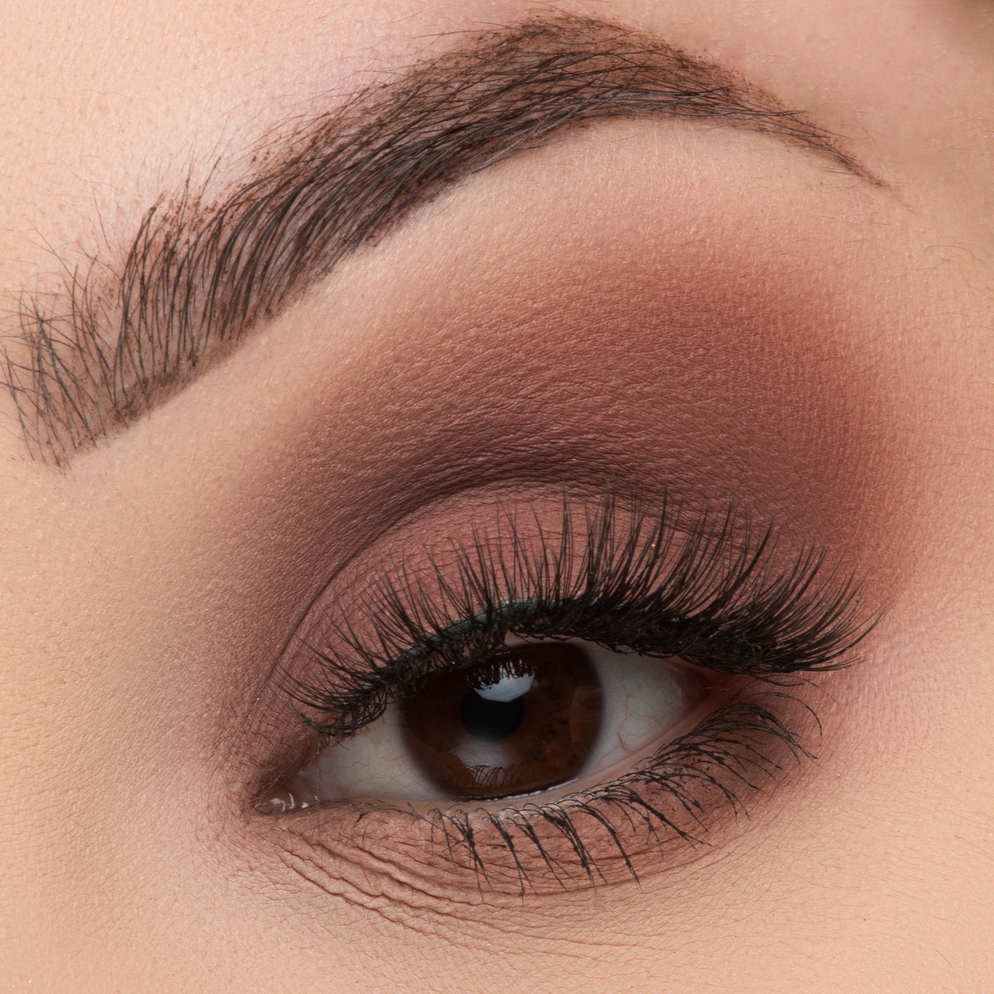 Mini Mix Face Palette - Life's A Draft