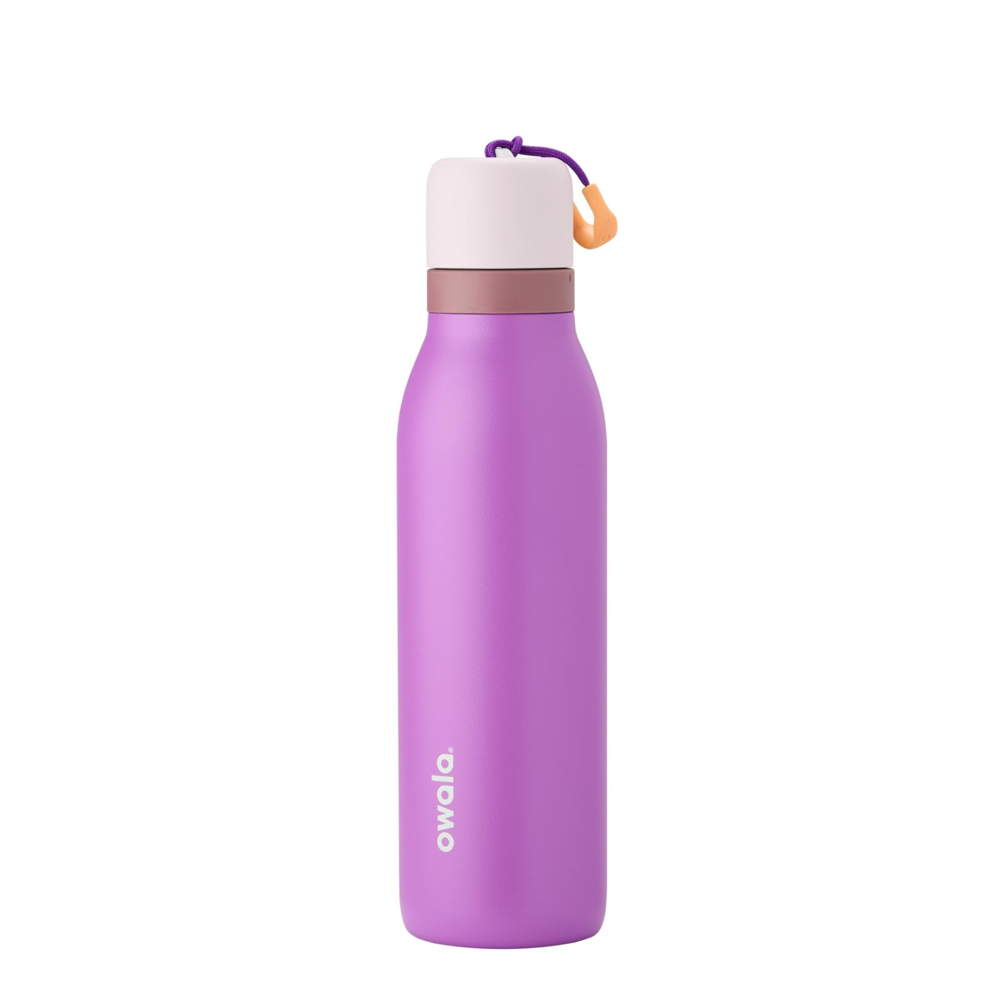 Owala FreeSip Twist Insulated Stainless Steel Water Bottle with Straw for Sports and Travel, BPA-Free, 24-oz, Purple/Purple (California Grapevine)