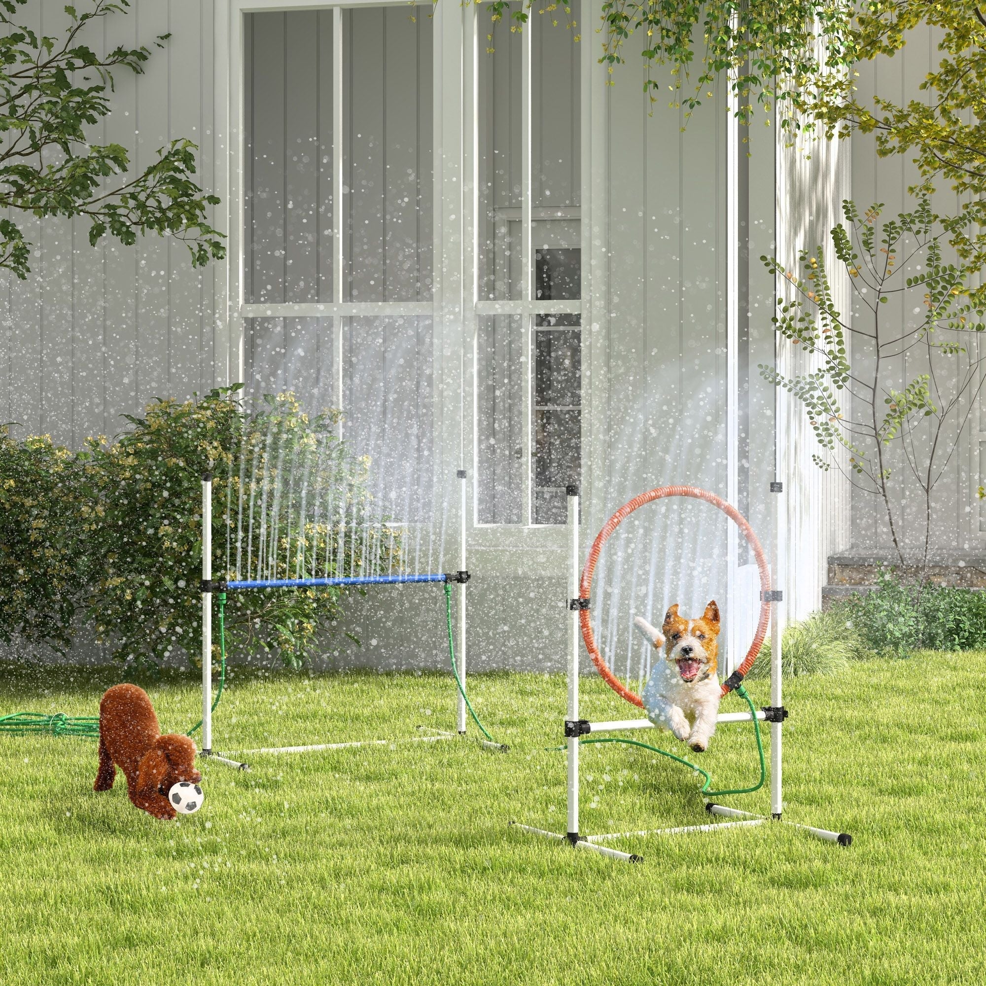 PawHut 5pc Dog Agility Training Equipment Set with Spray Water Tube, White