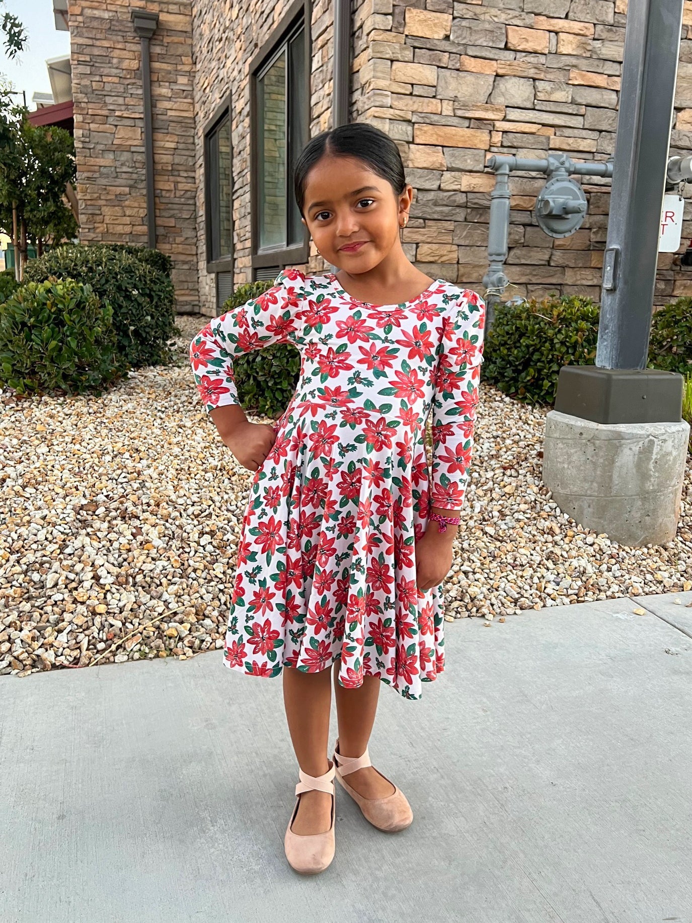 Poinsettias Puff Sleeve Twirl Dress